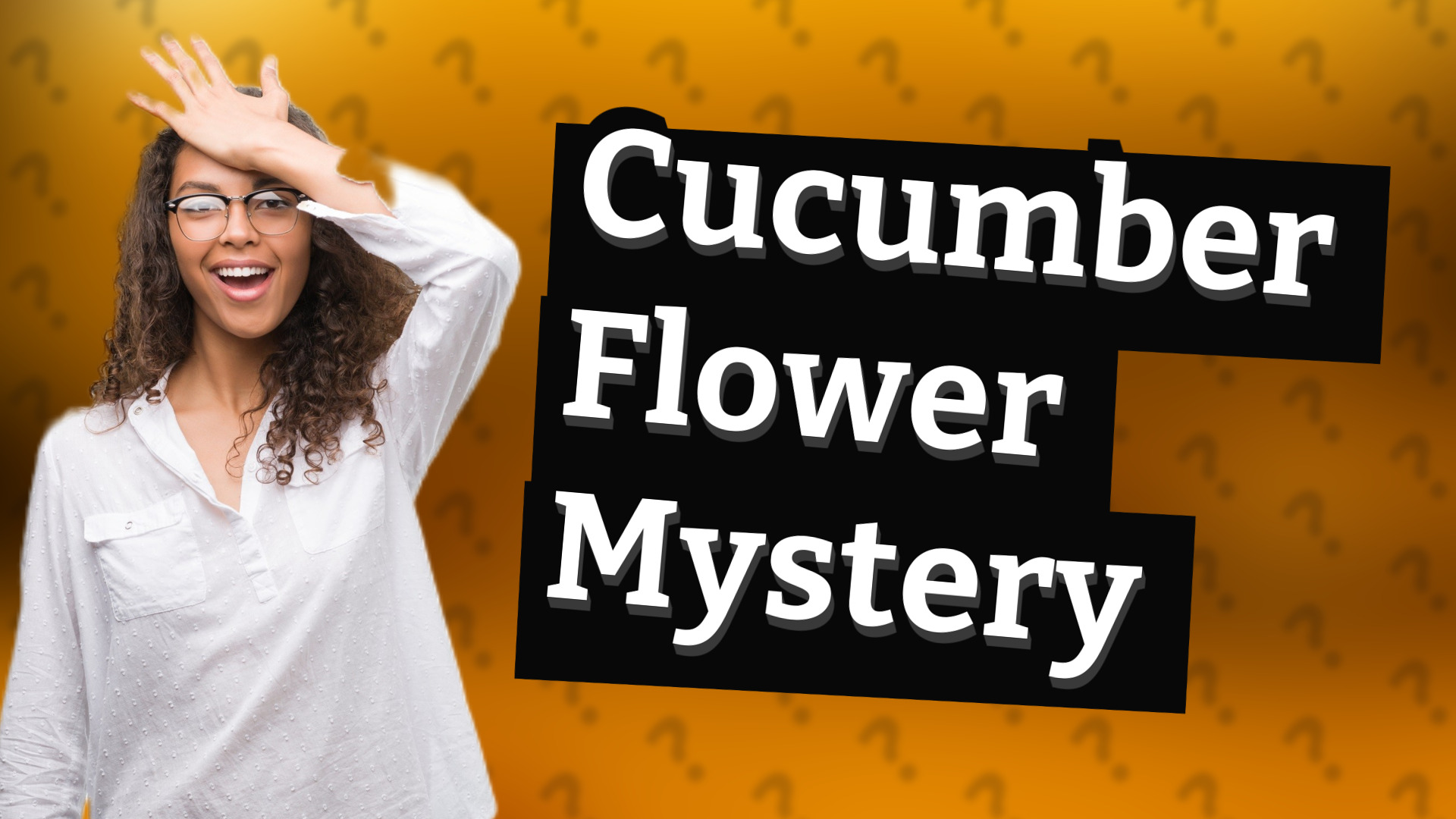 Cucumber Flower Mystery