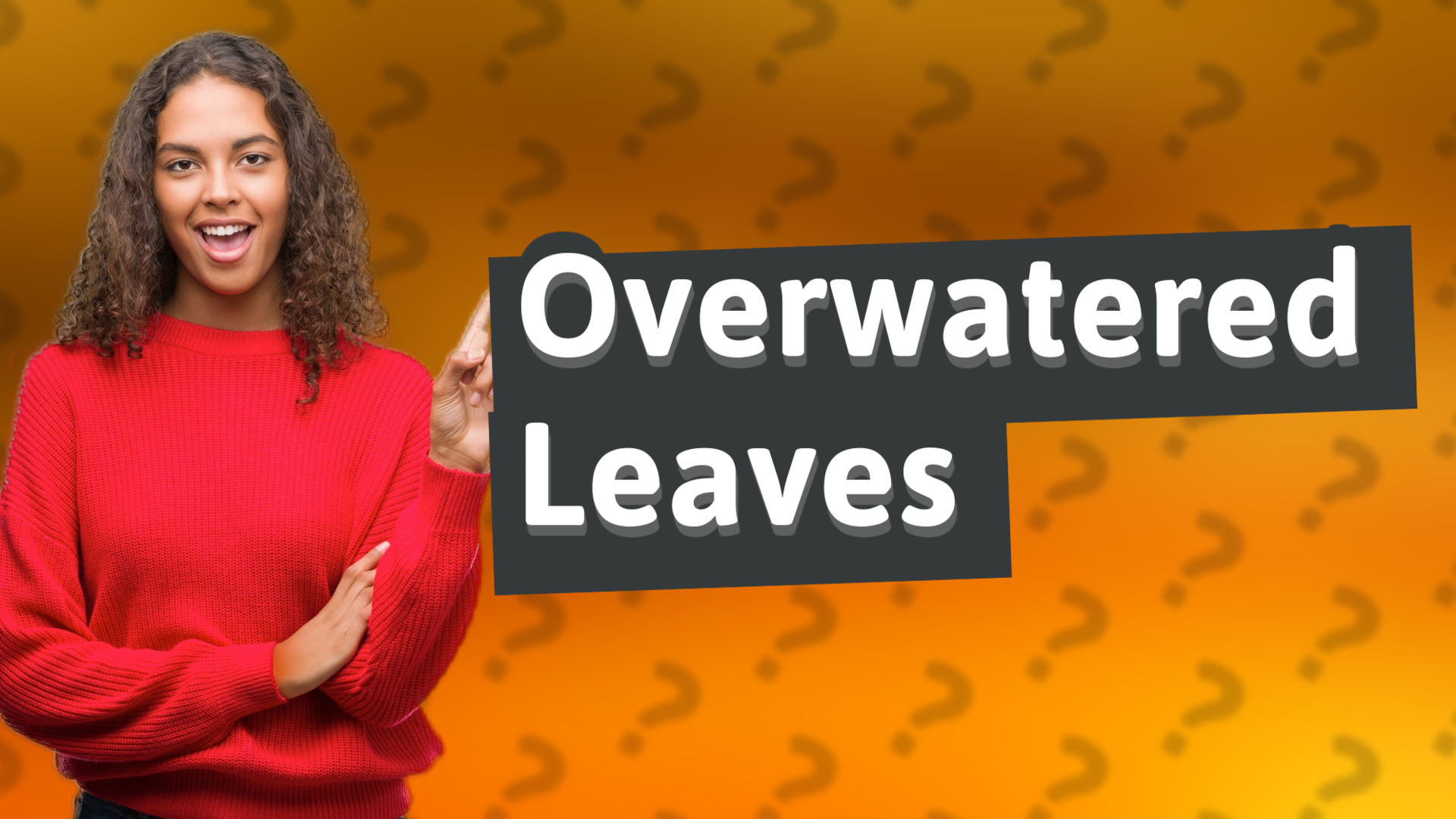 Overwatered Leaves