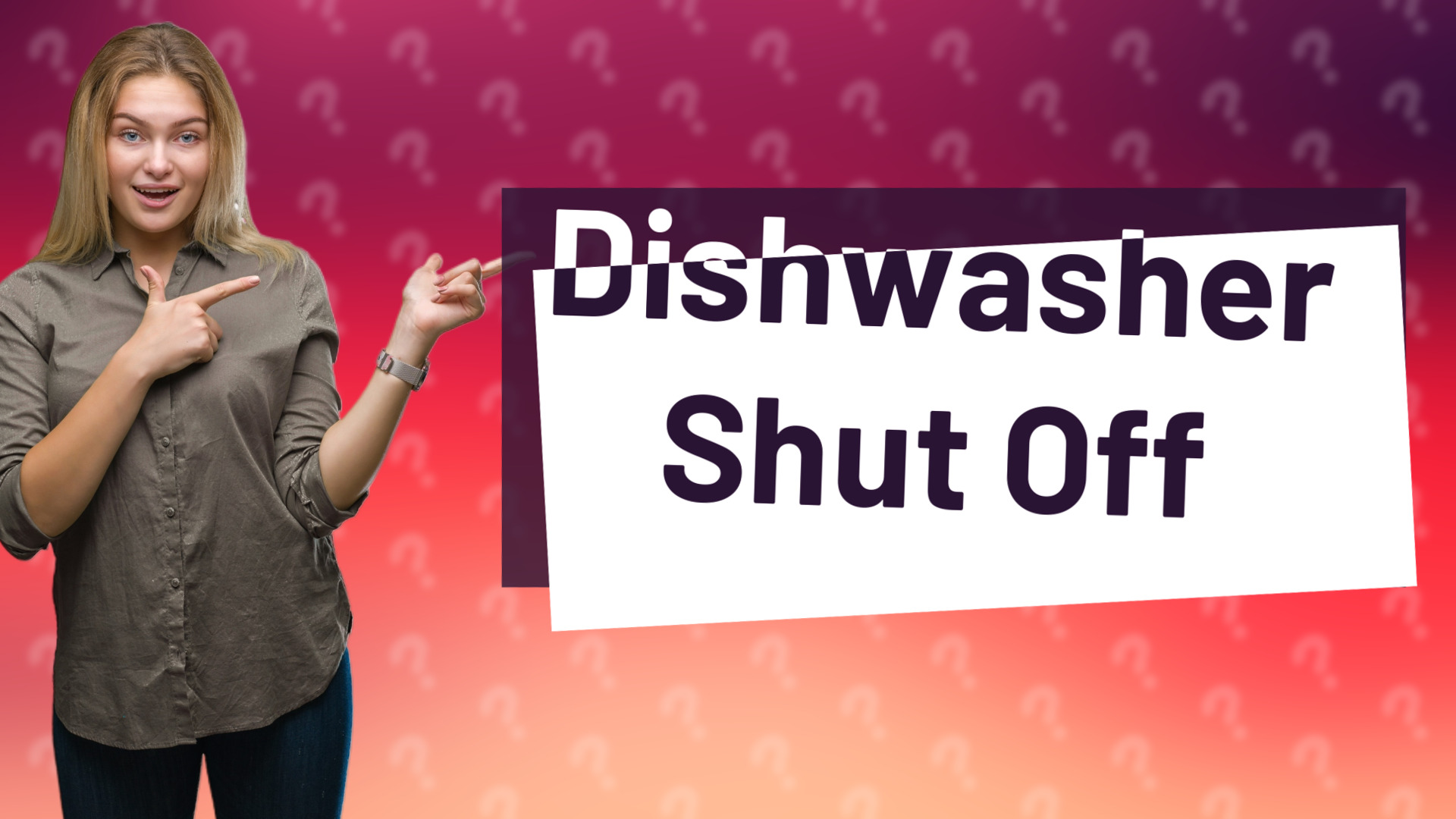 Dishwasher Shut Off