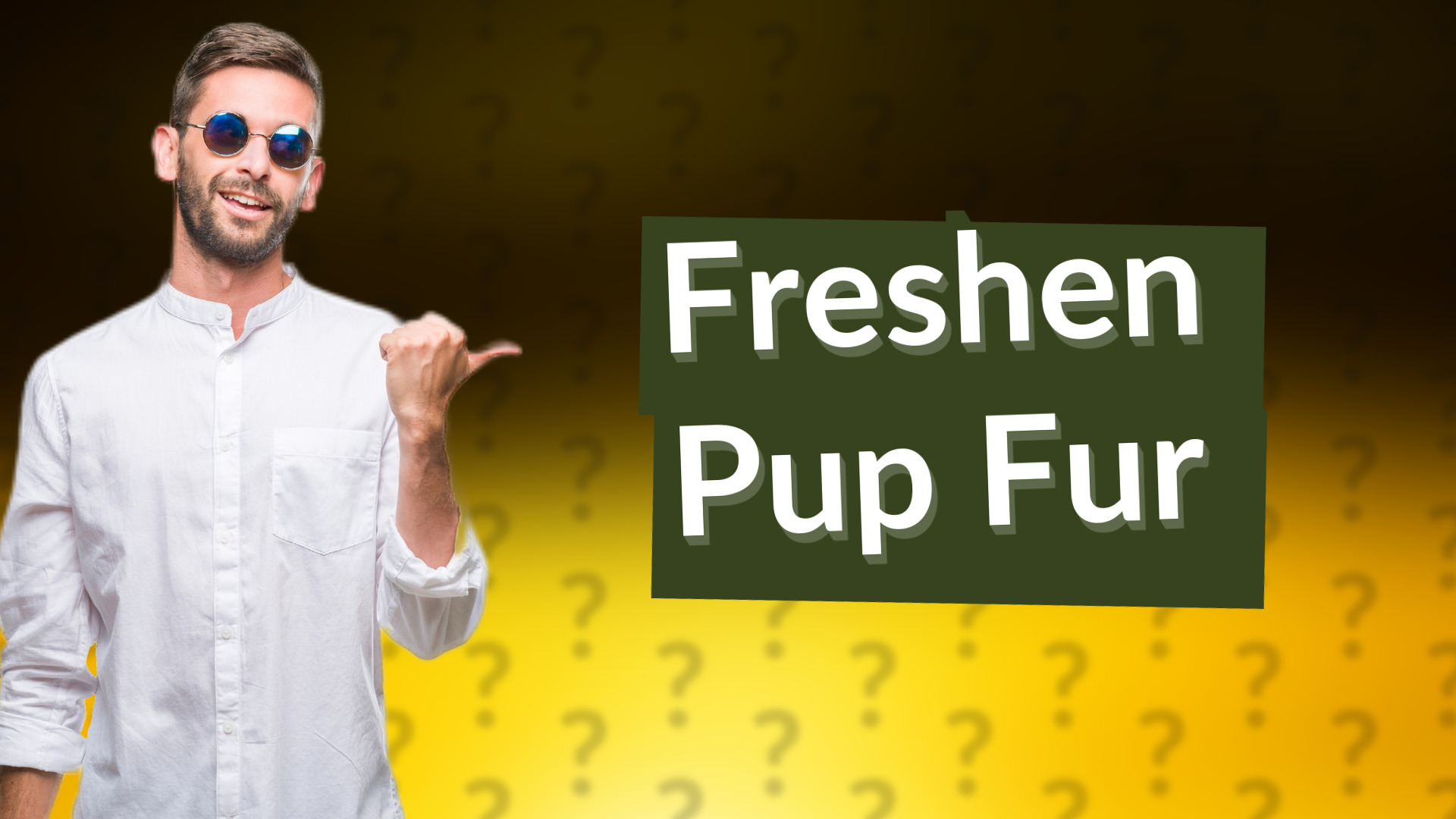 Freshen Pup Fur
