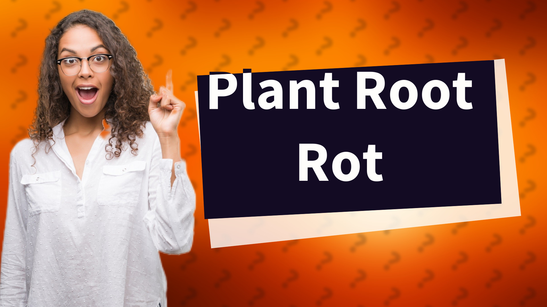 Plant Root Rot