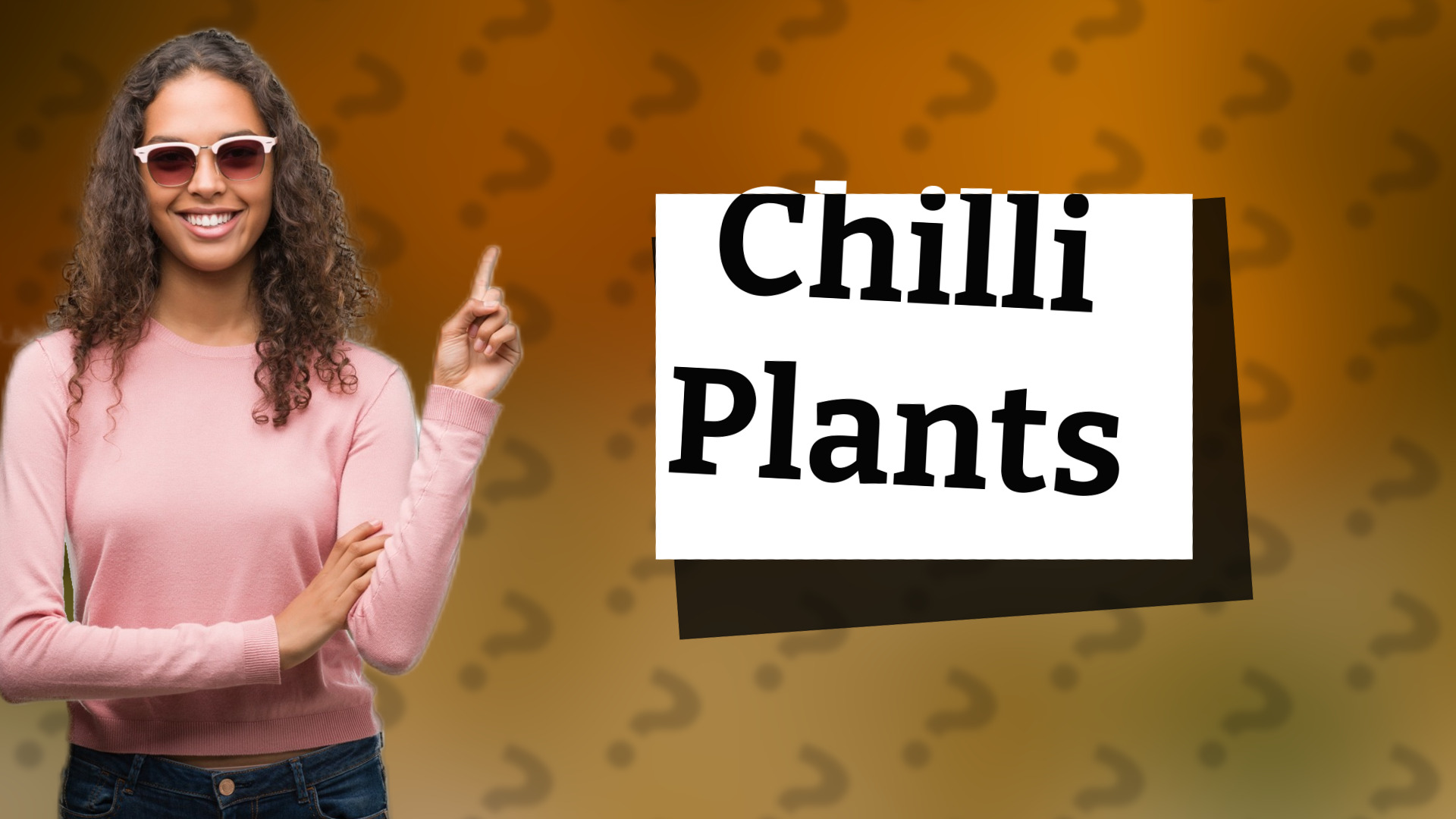 Chilli Plants