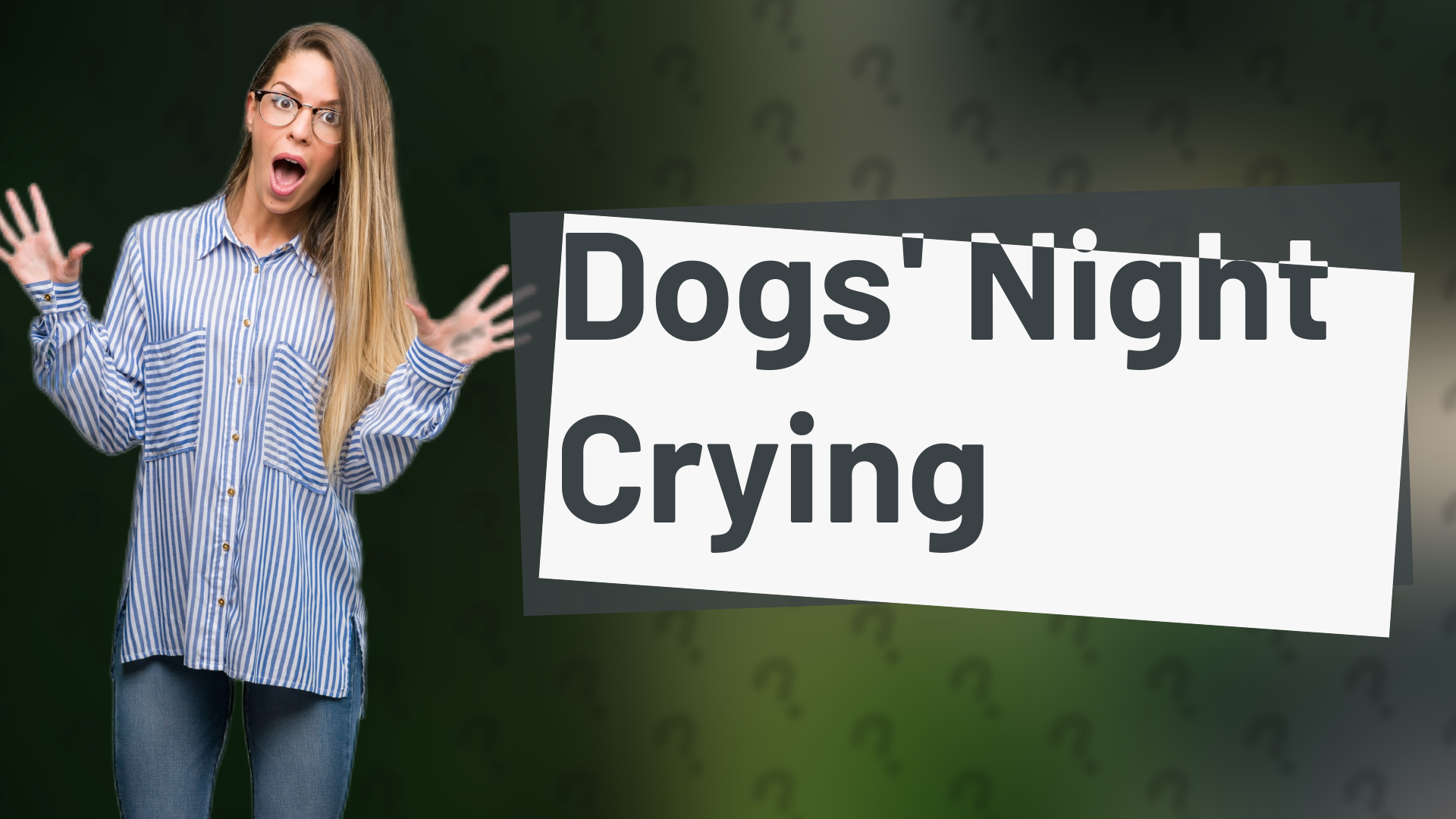 Dogs' Night Crying