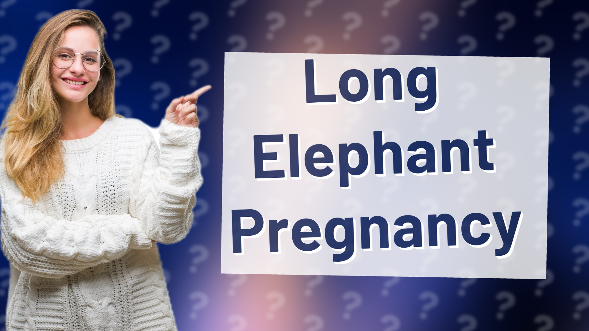 Long Elephant Pregnancy