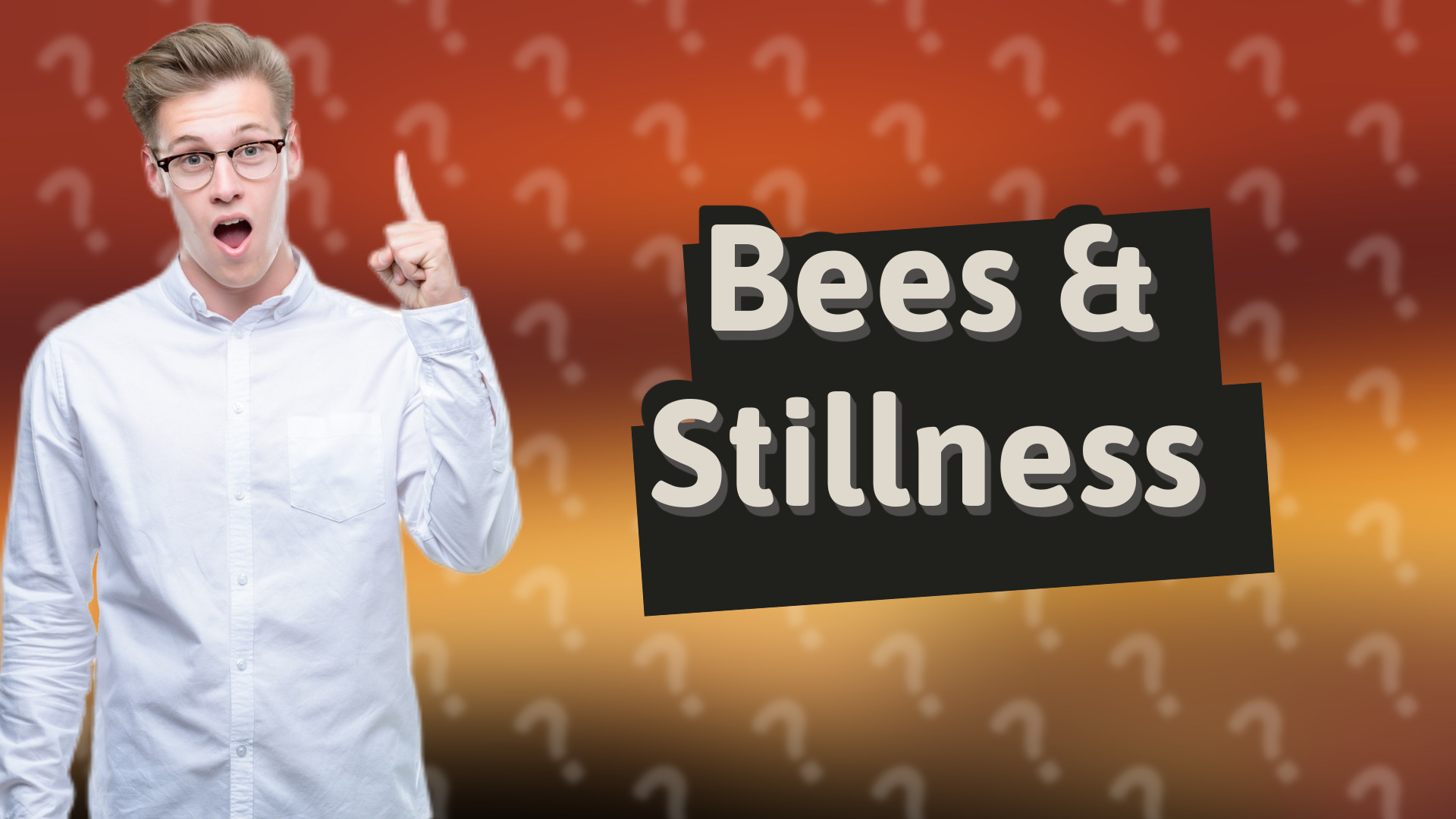 Bees & Stillness
