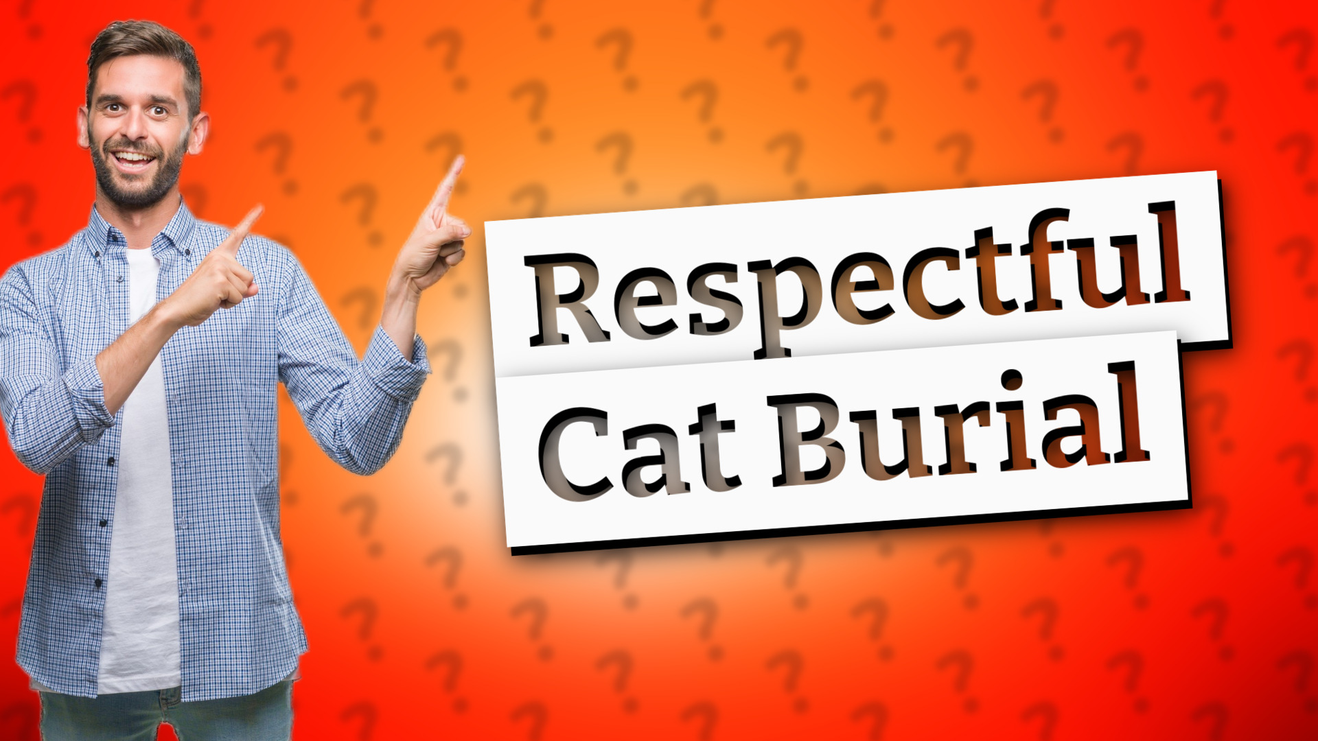 Respectful Cat Burial