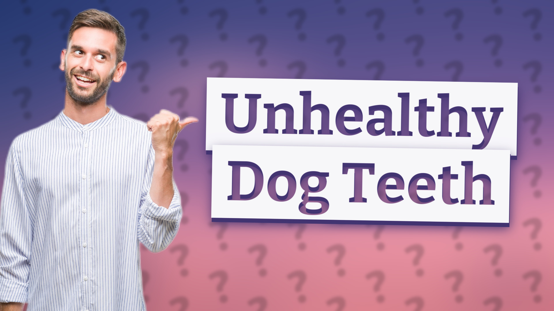 Unhealthy Dog Teeth