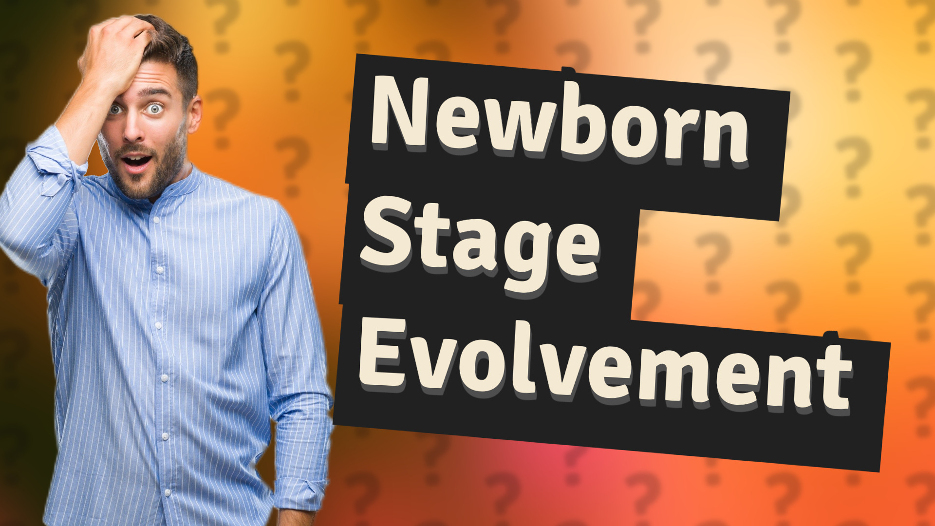Newborn Stage Evolvement