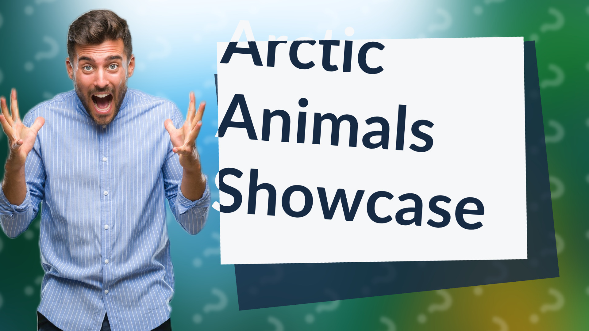 Arctic Animals Showcase