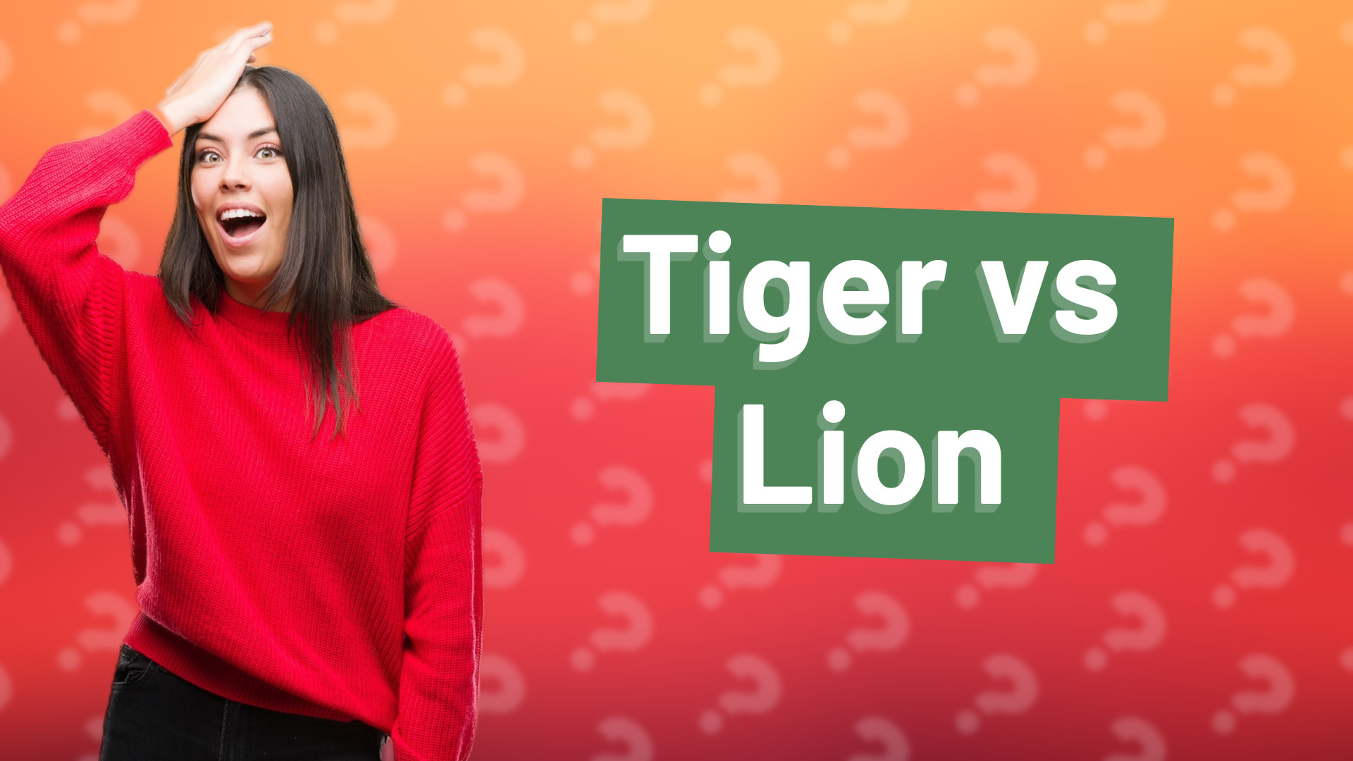 Tiger vs Lion