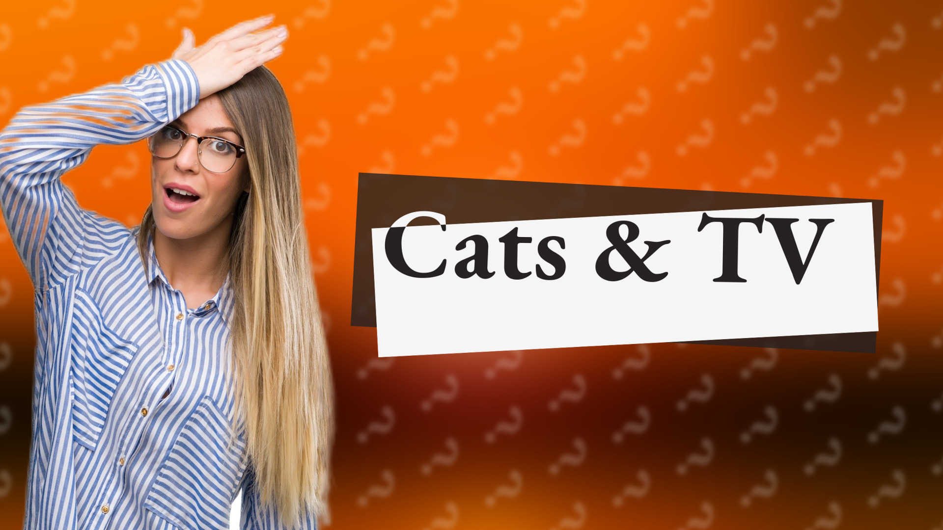 Cats & TV