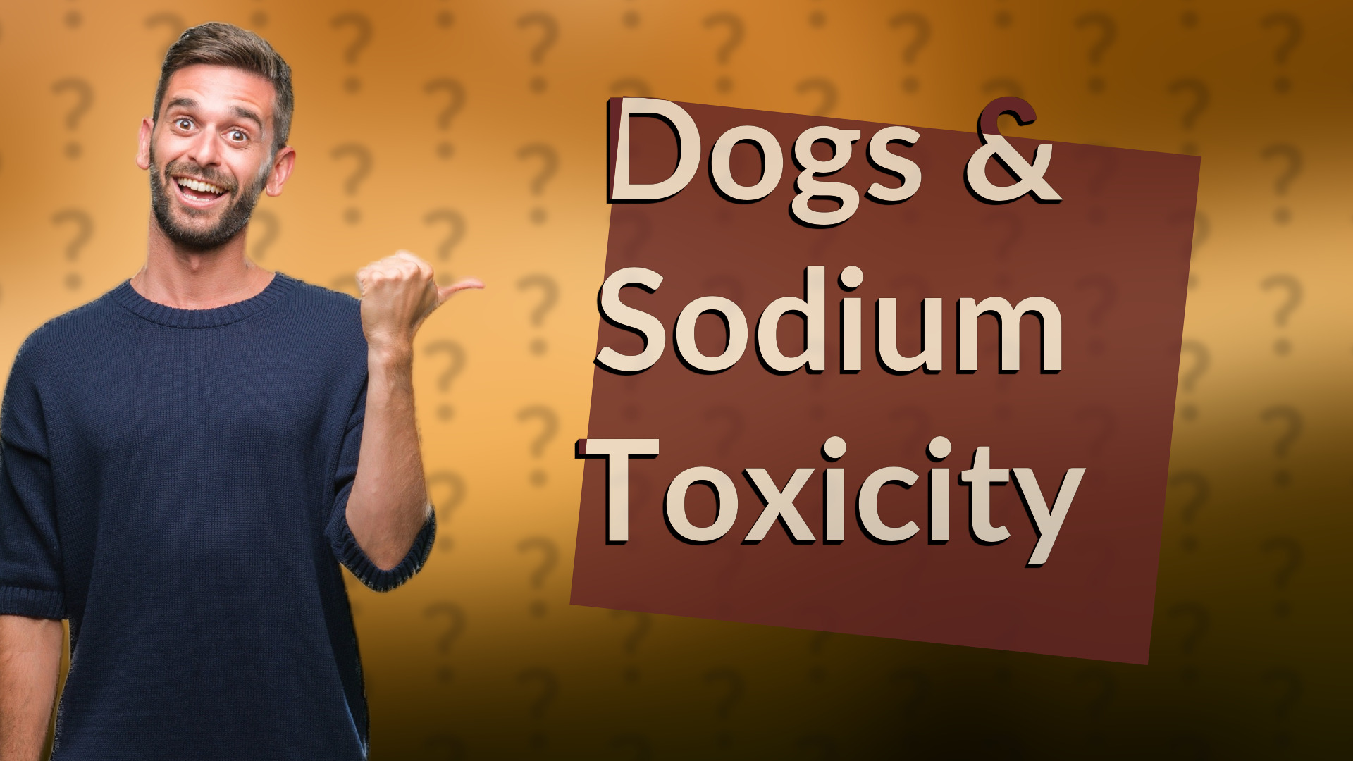 Dogs & Sodium Toxicity