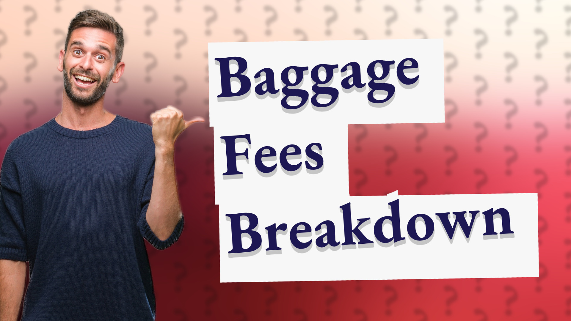 Baggage Fees Breakdown