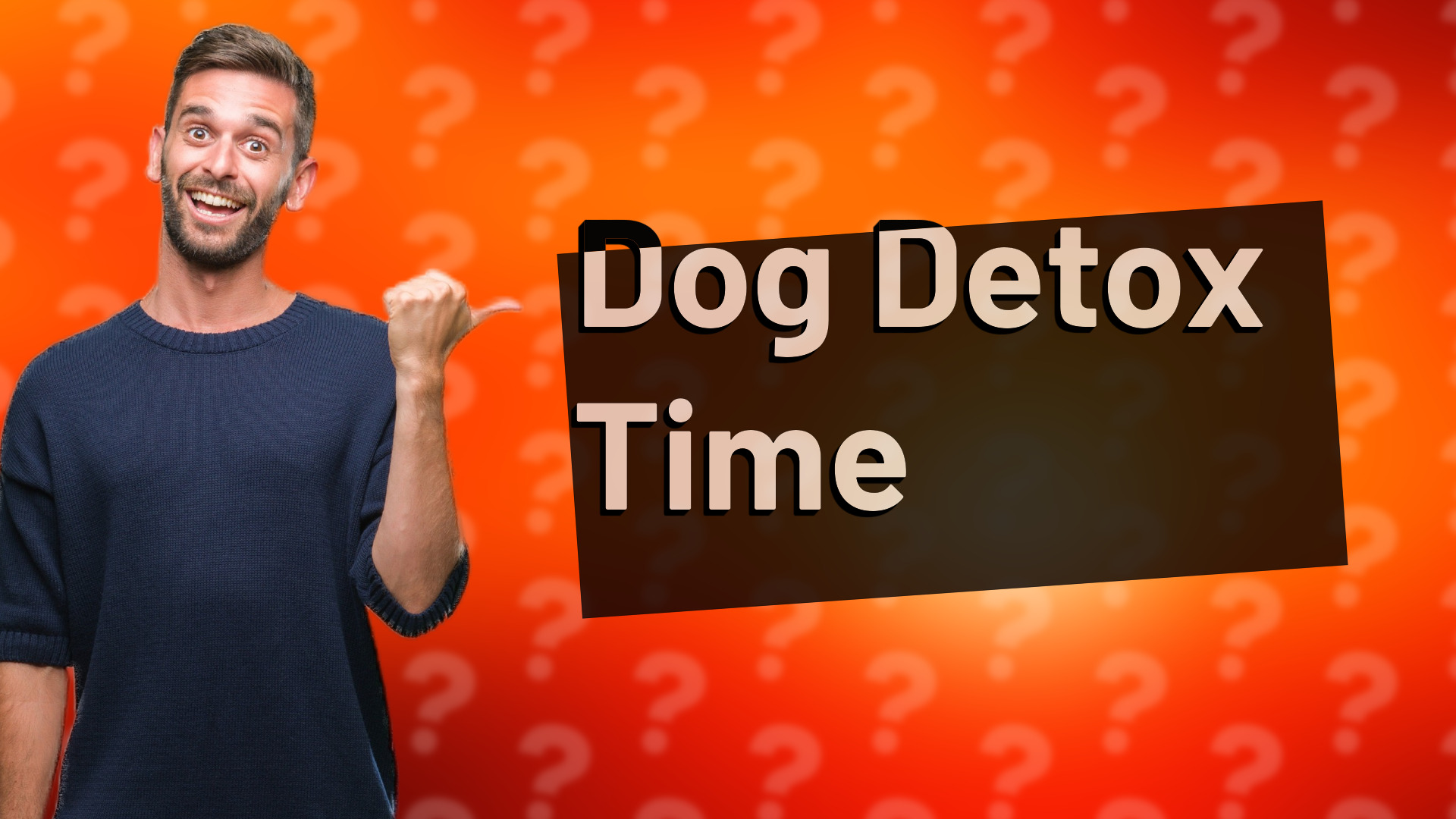Dog Detox Time