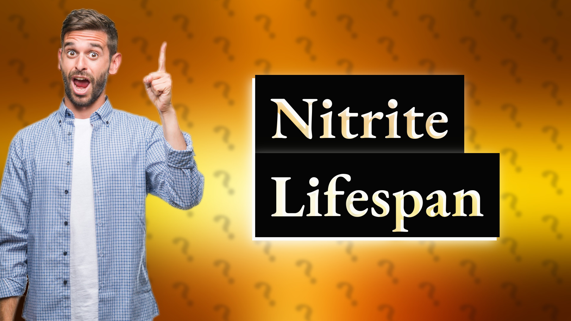 Nitrite Lifespan