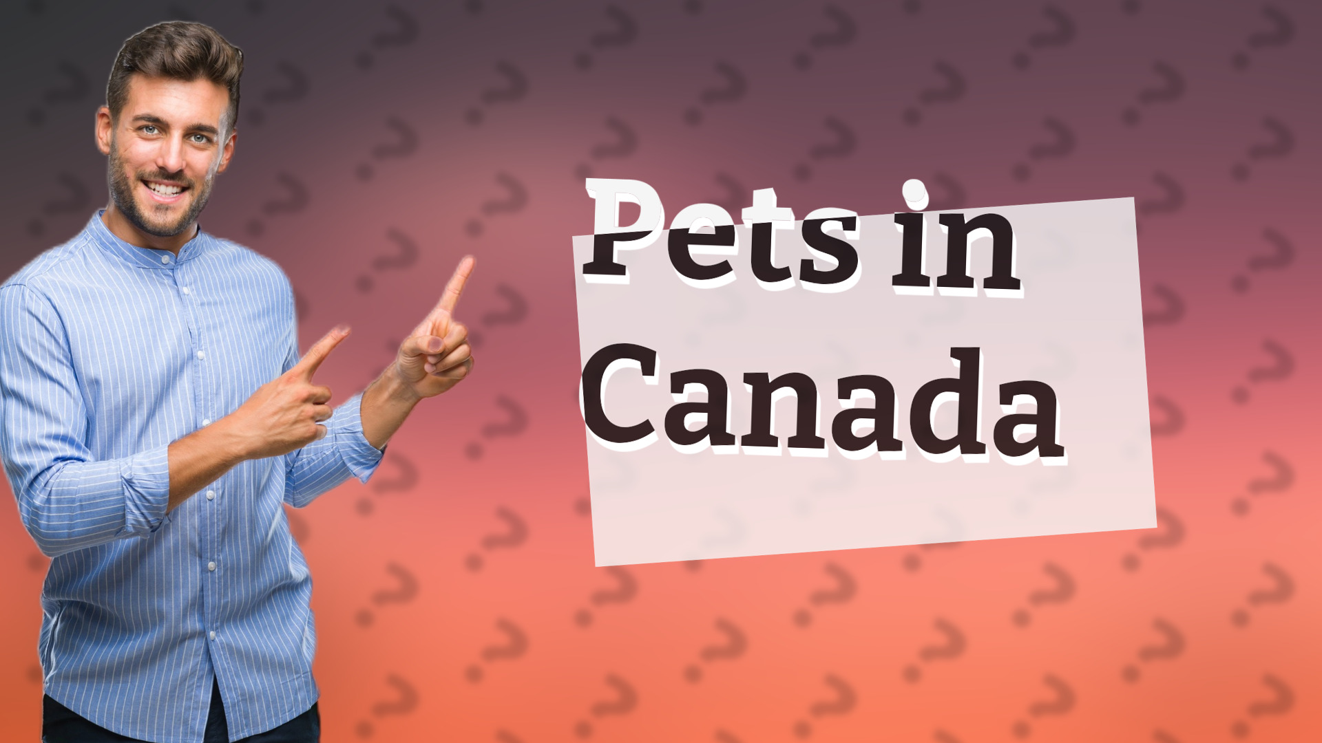 Pets in Canada