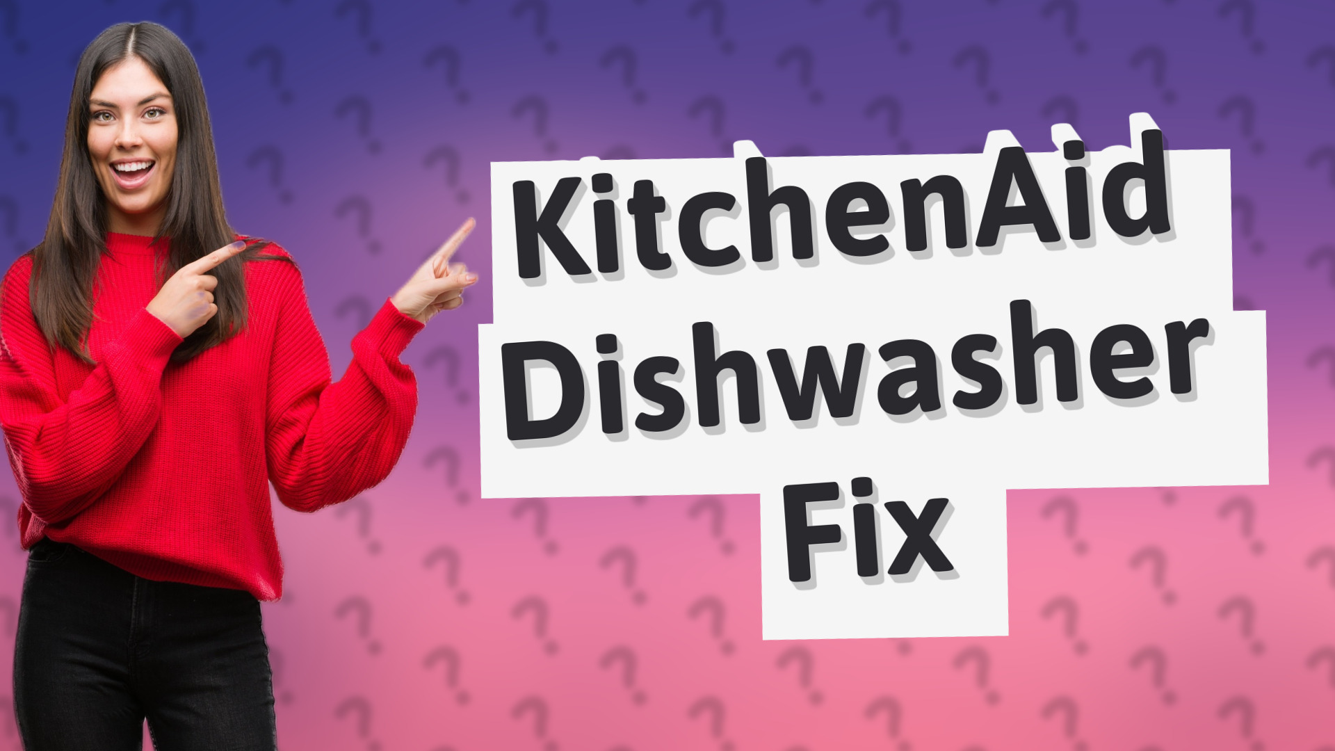 KitchenAid Dishwasher Fix