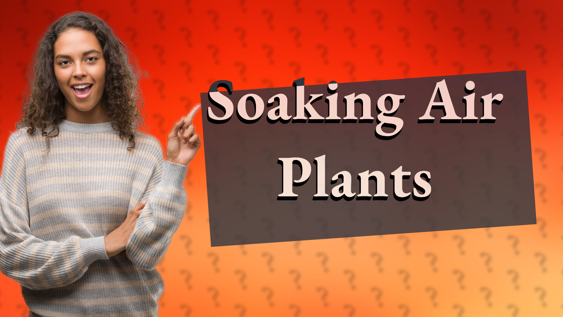 Soaking Air Plants