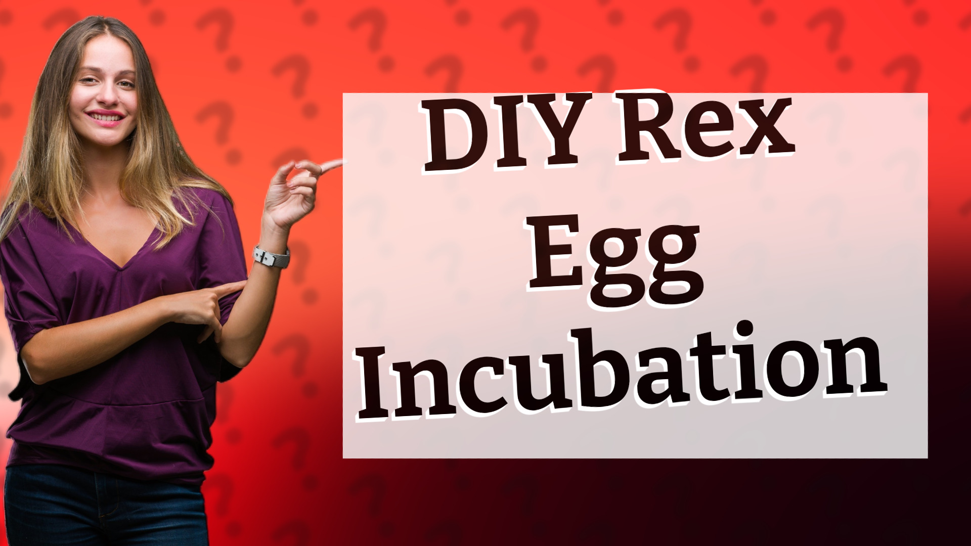 DIY Rex Egg Incubation