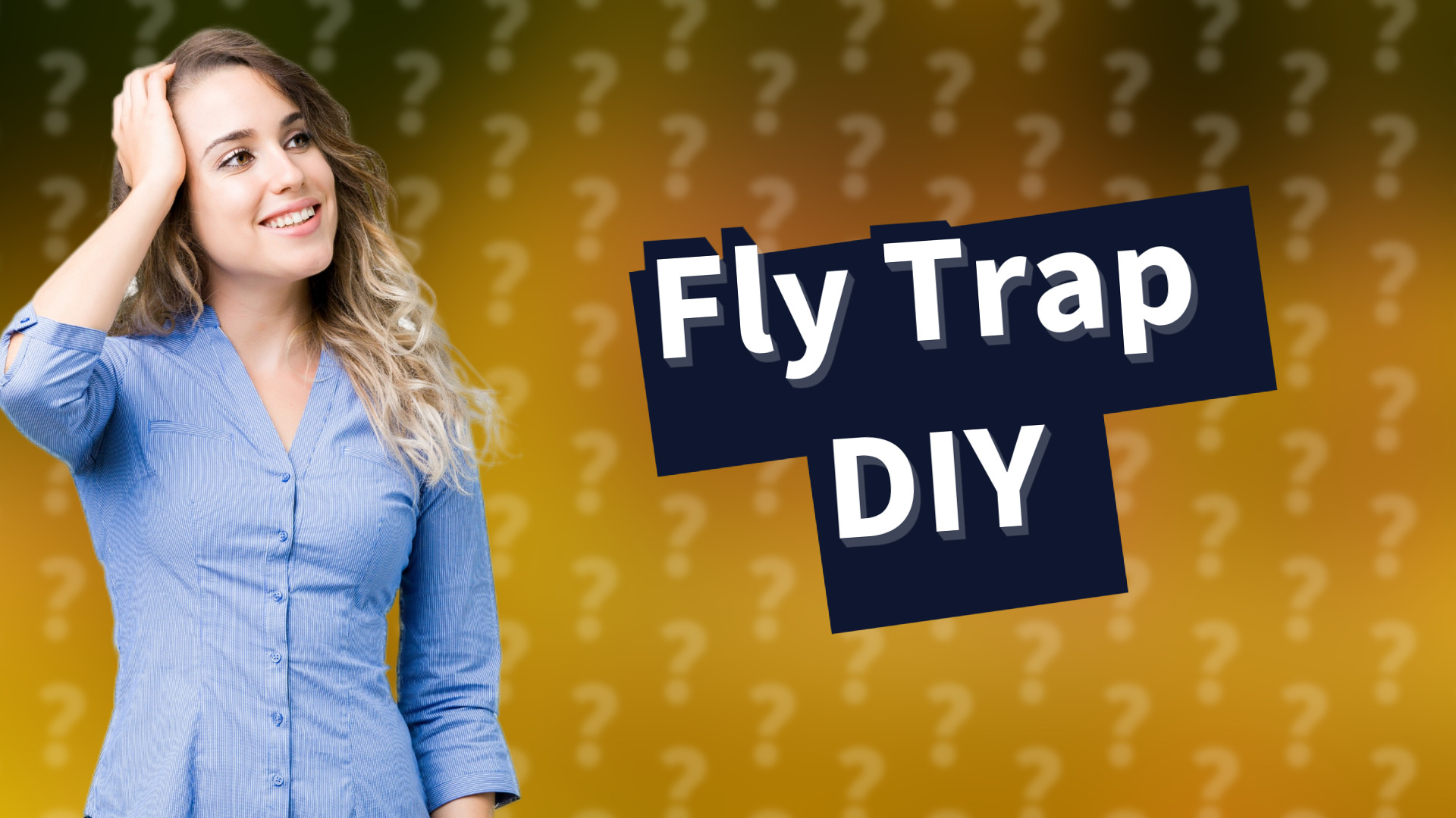Fly Trap DIY