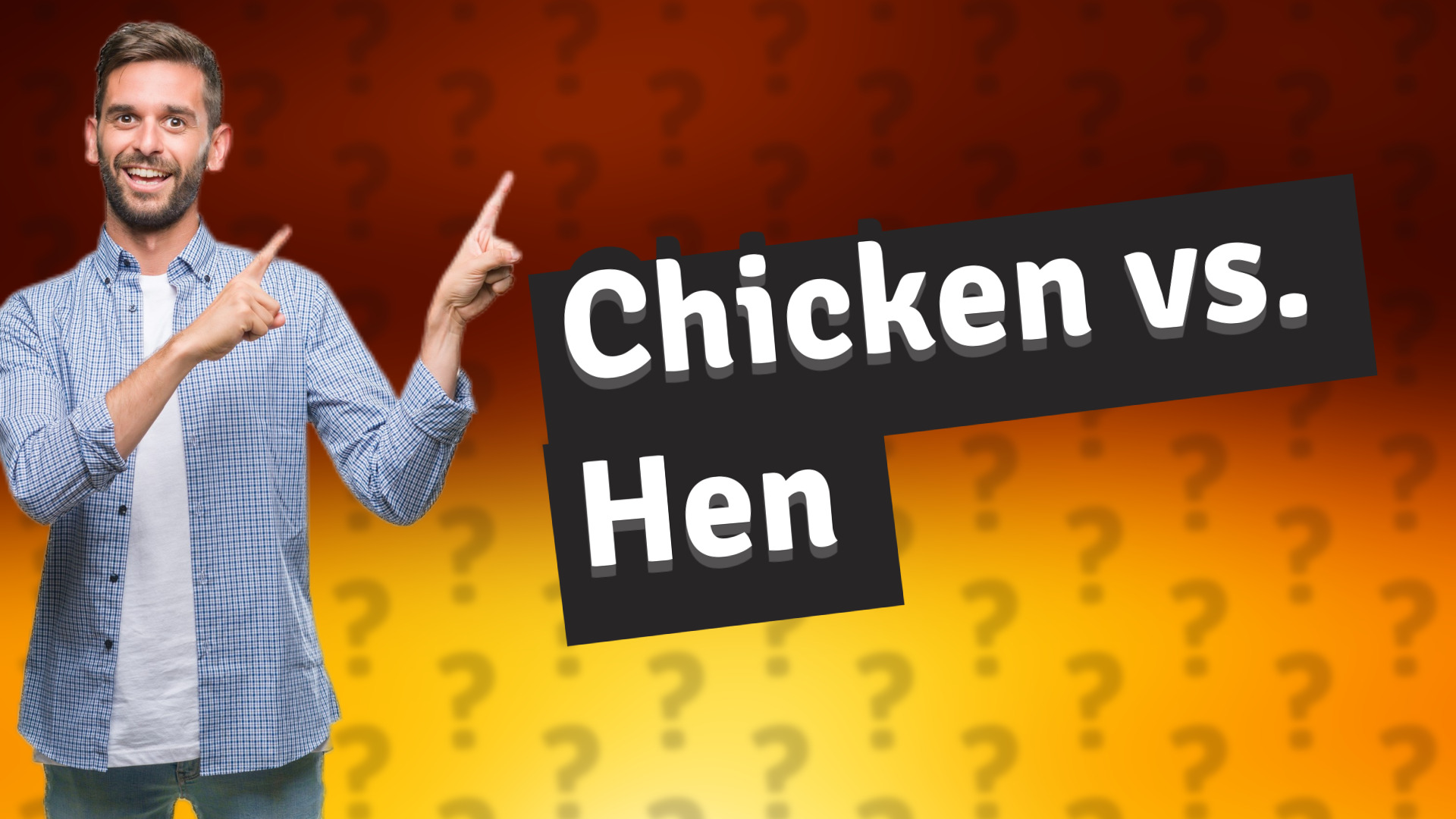 Chicken vs. Hen