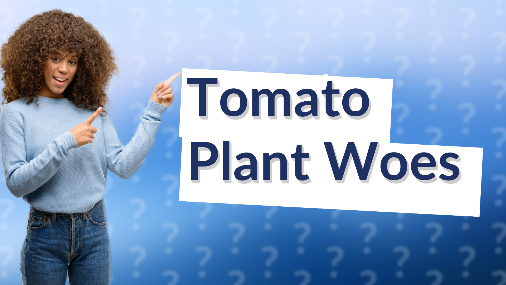 Tomato Plant Woes