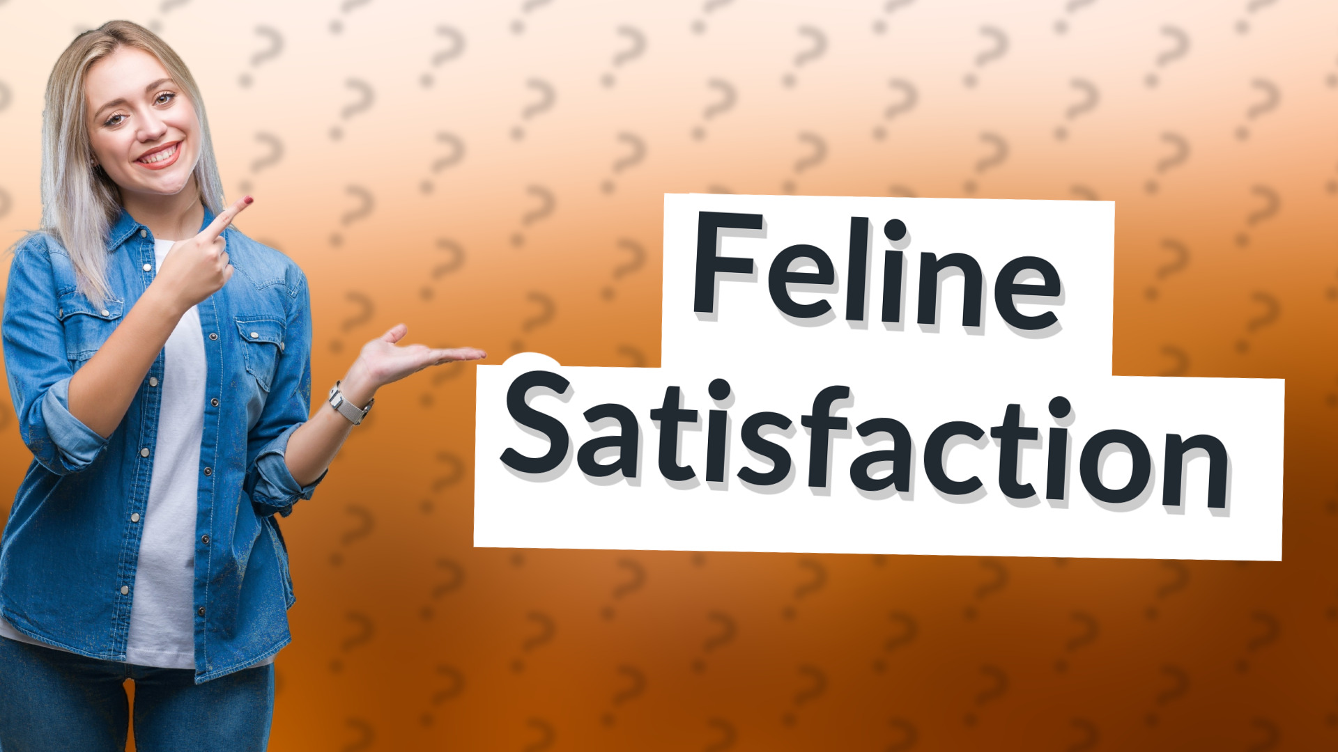 Feline Satisfaction