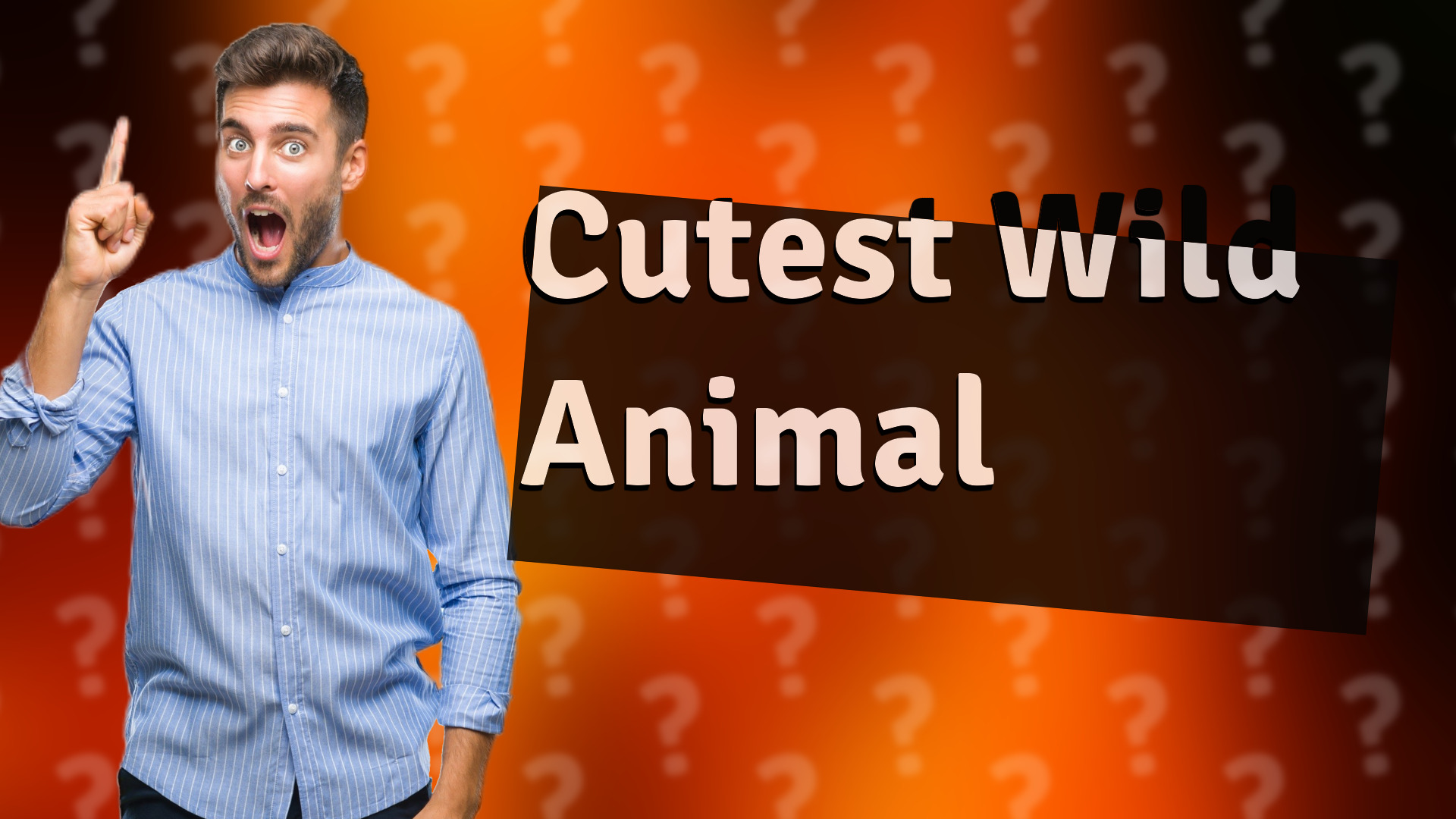 Cutest Wild Animal