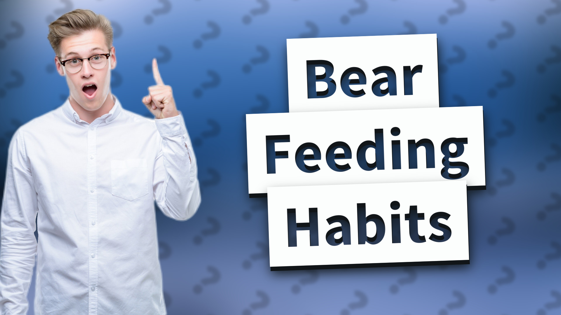 Bear Feeding Habits