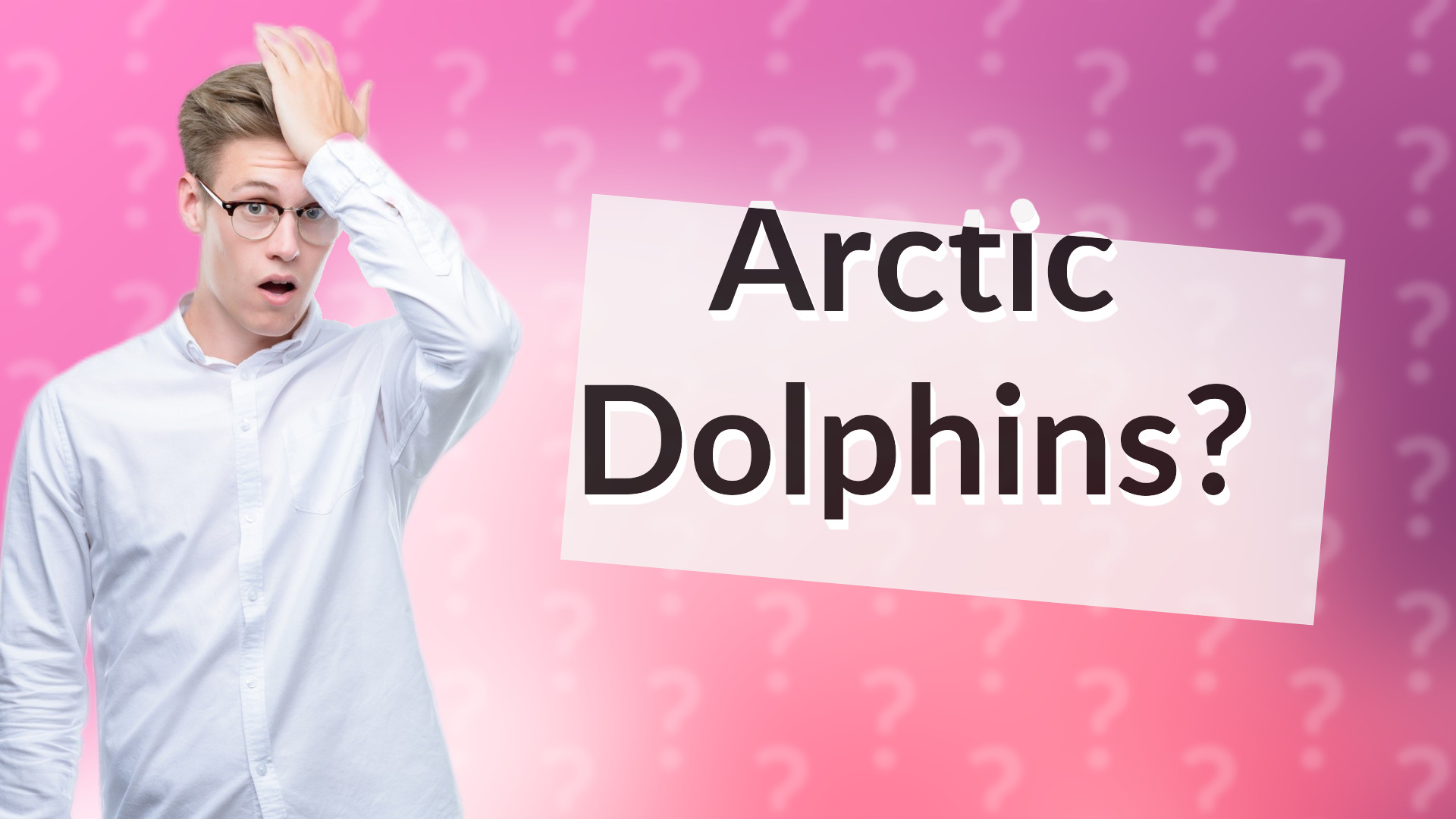 Arctic Dolphins?