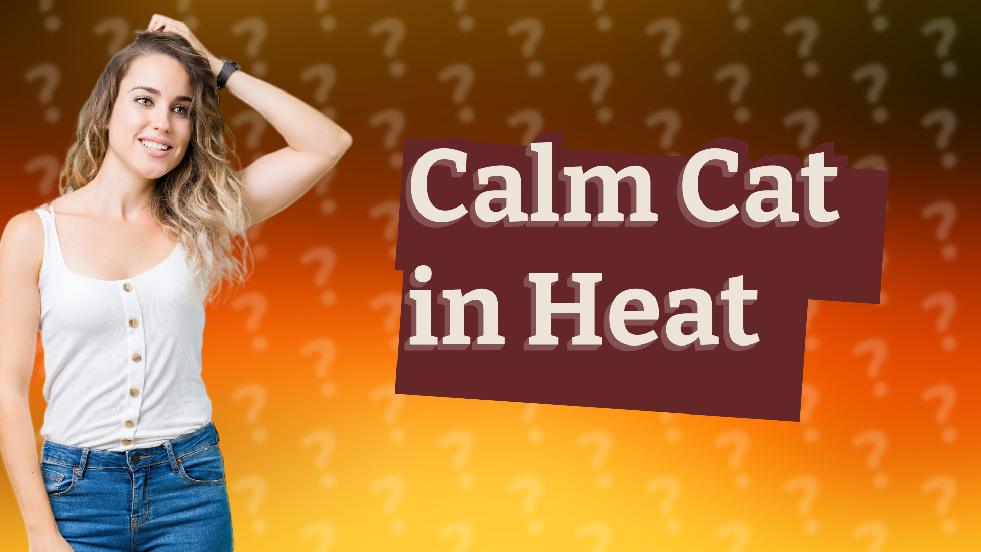 Calm Cat in Heat