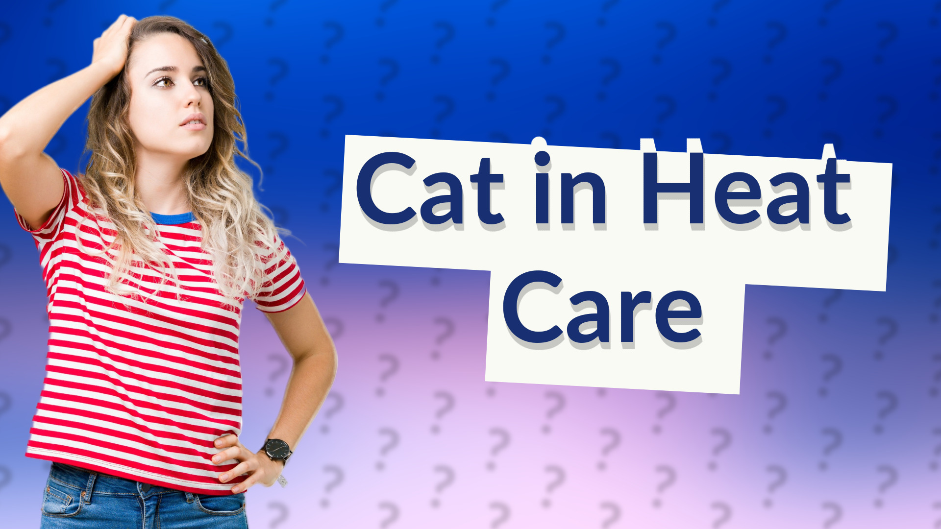 Cat in Heat Care