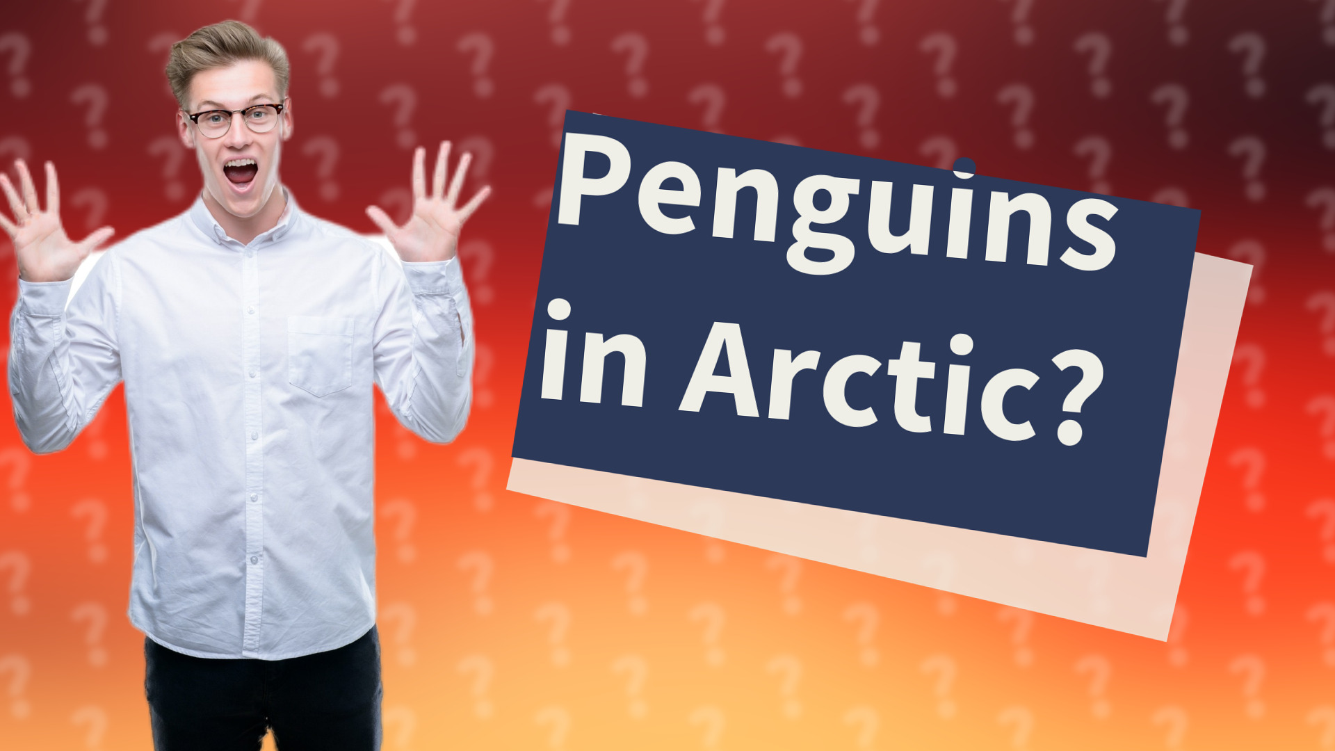 Penguins in Arctic?