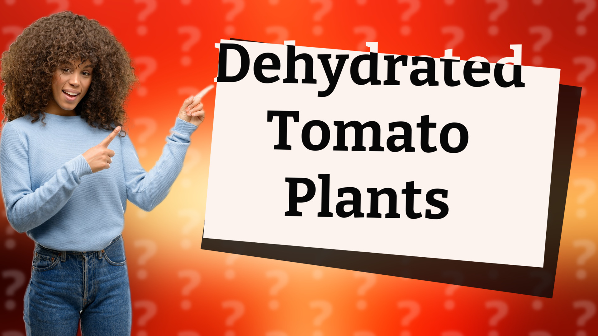 Dehydrated Tomato Plants