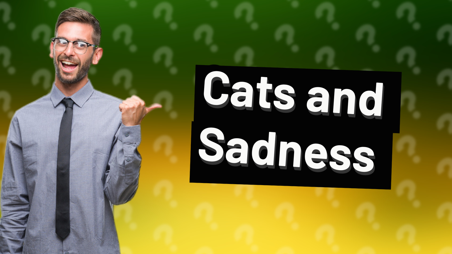 Cats and Sadness