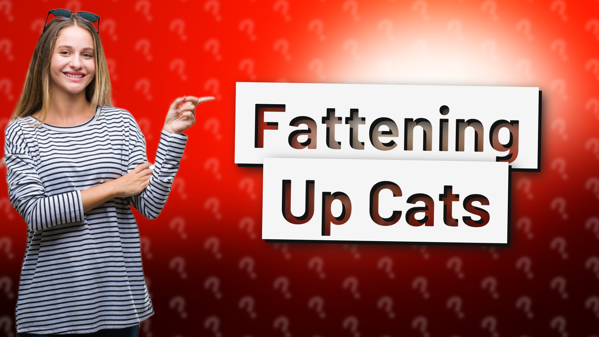 Fattening Up Cats
