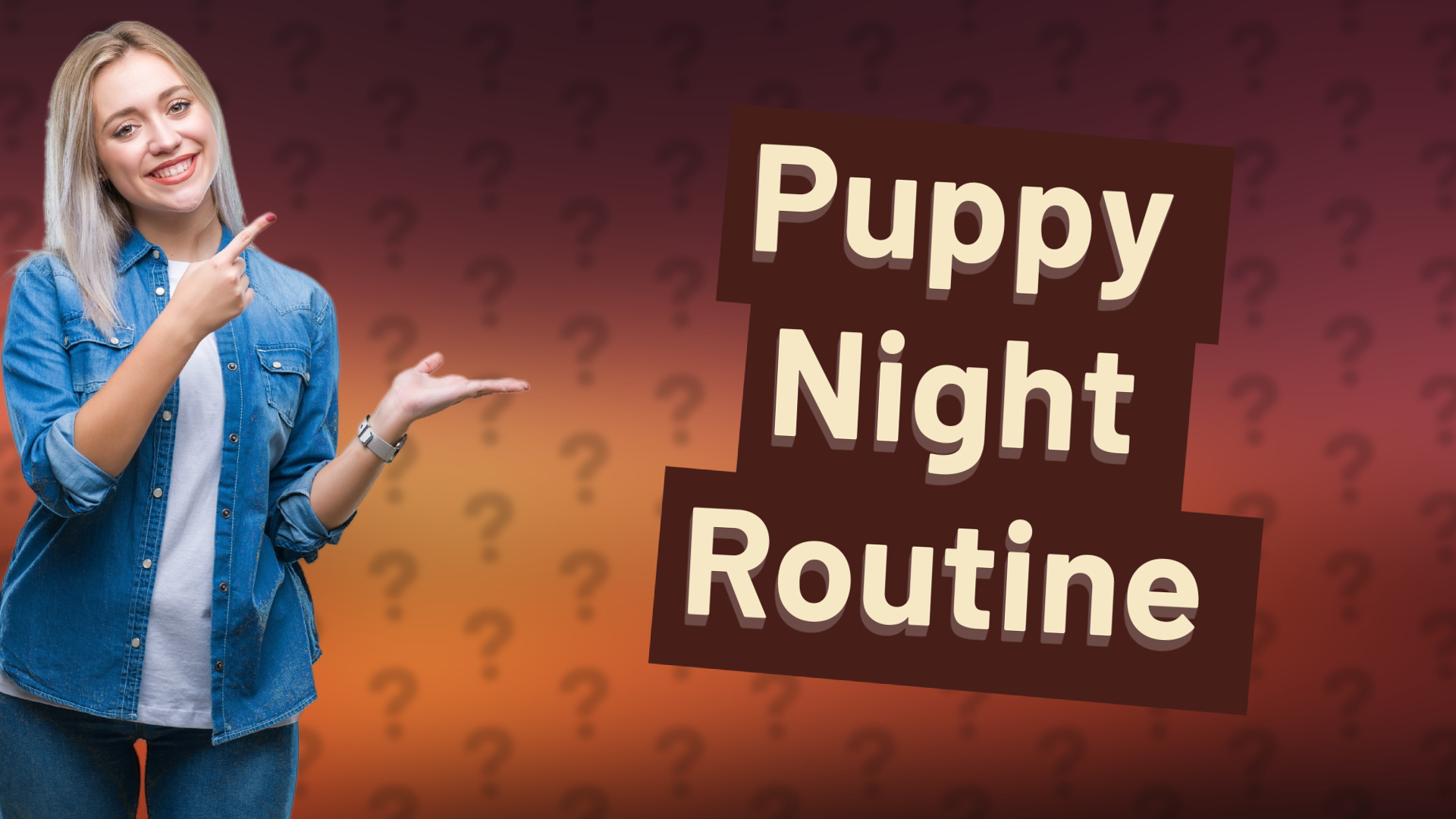 Puppy Night Routine
