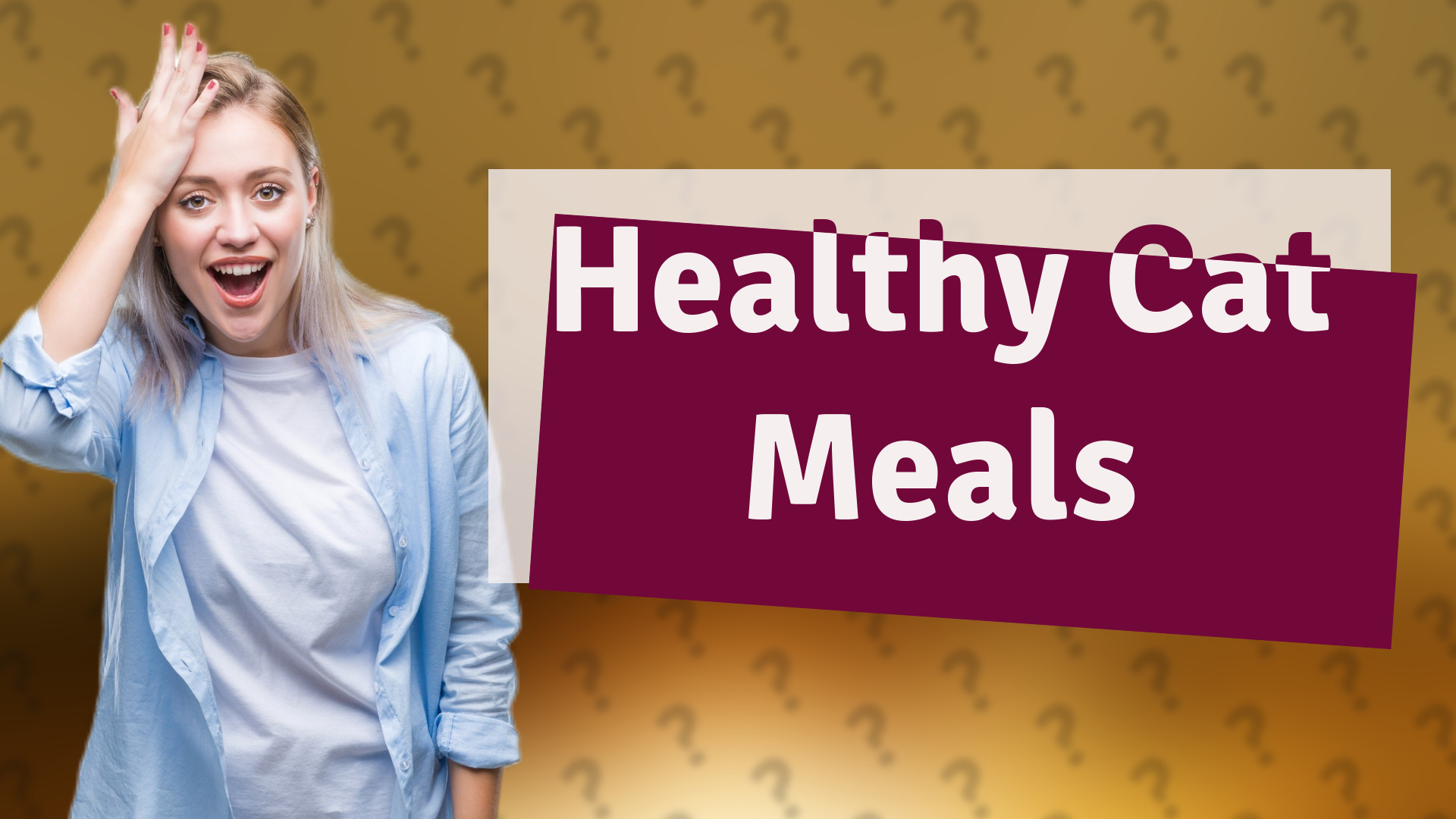 Healthy Cat Meals