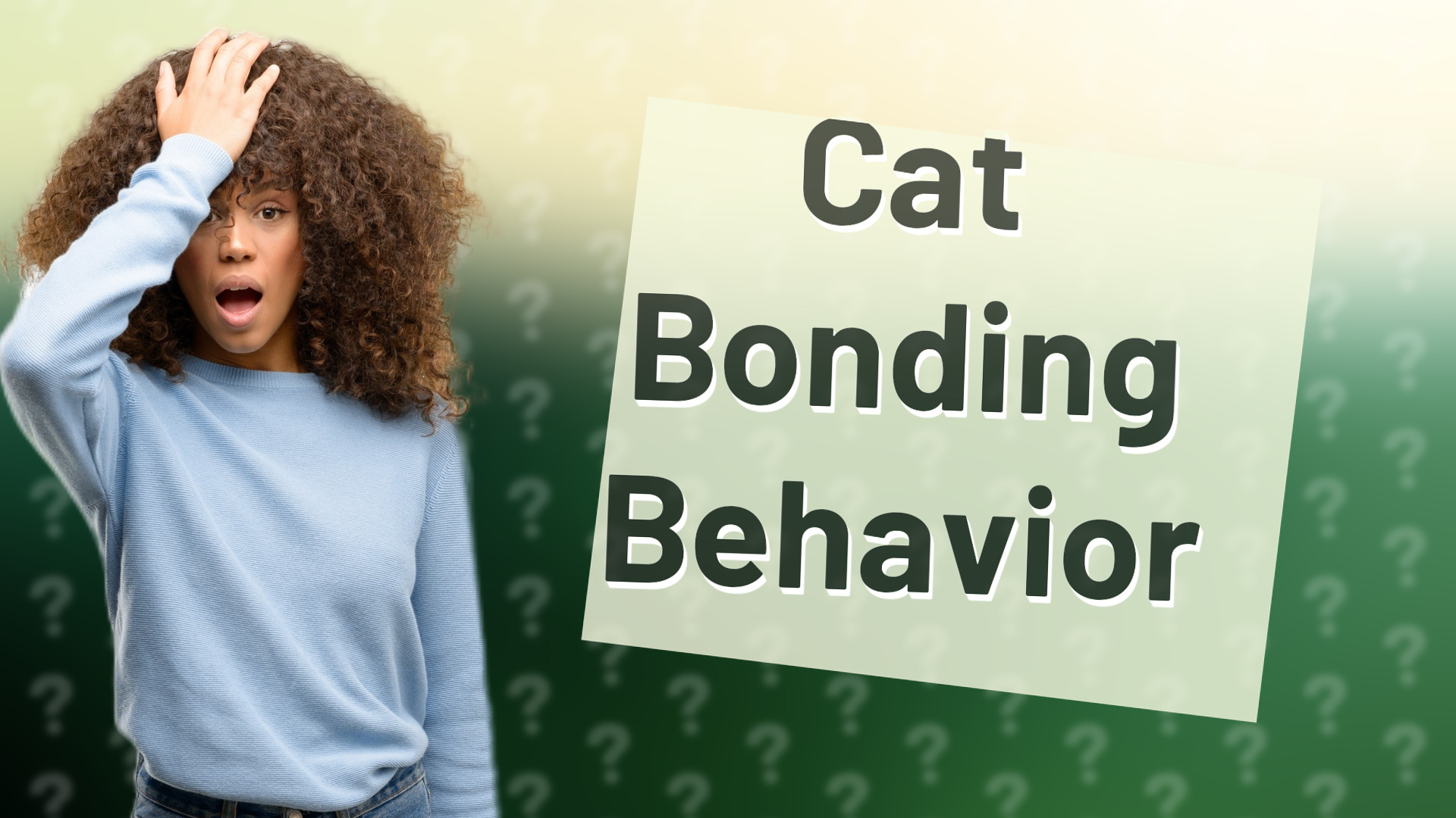 Cat Bonding Behavior