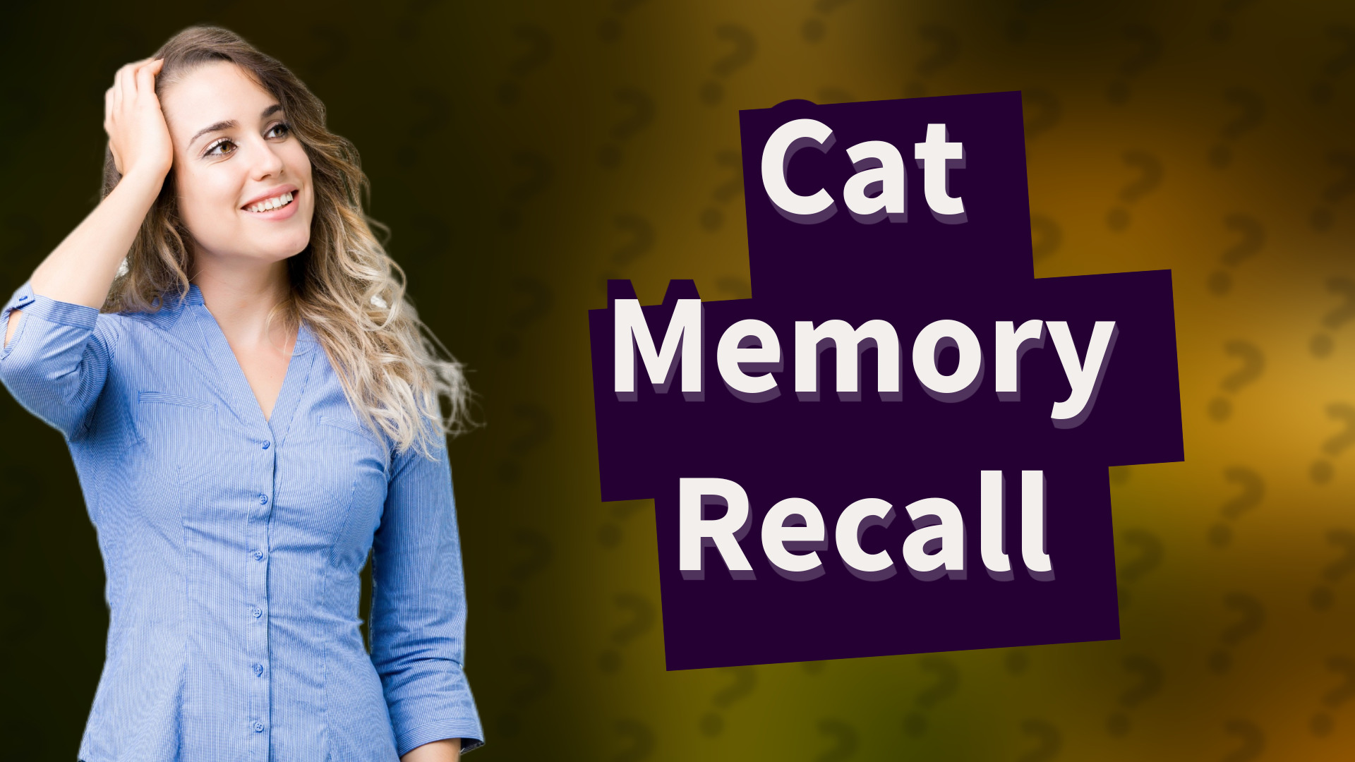 Cat Memory Recall