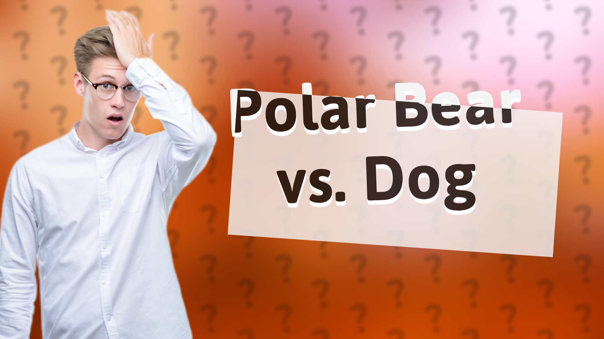 Polar Bear vs. Dog