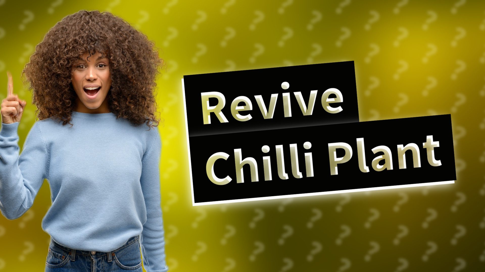 Revive Chilli Plant