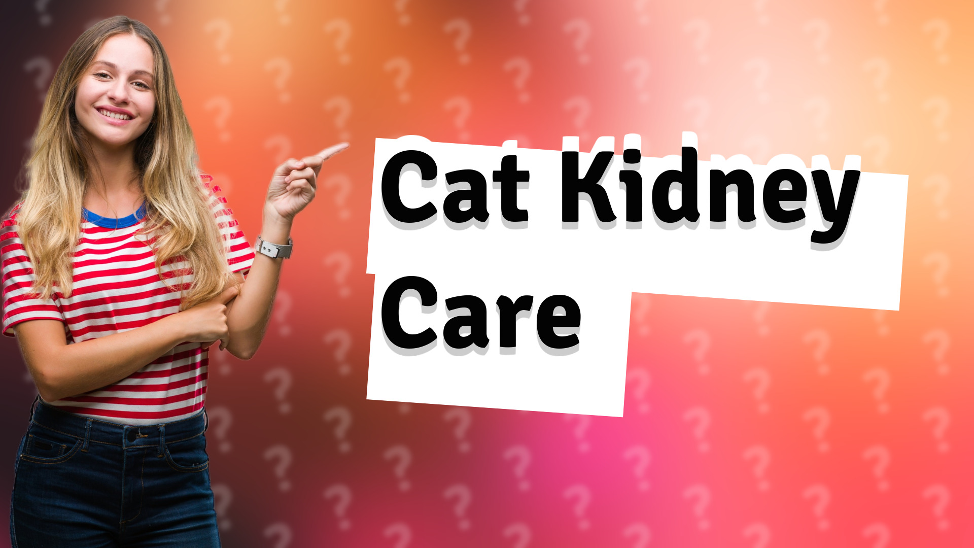 Cat Kidney Care