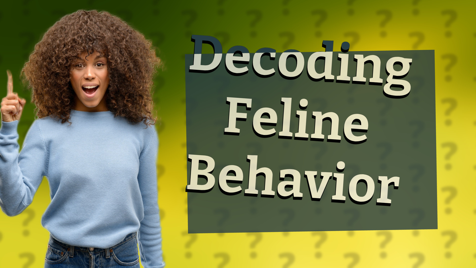 Decoding Feline Behavior