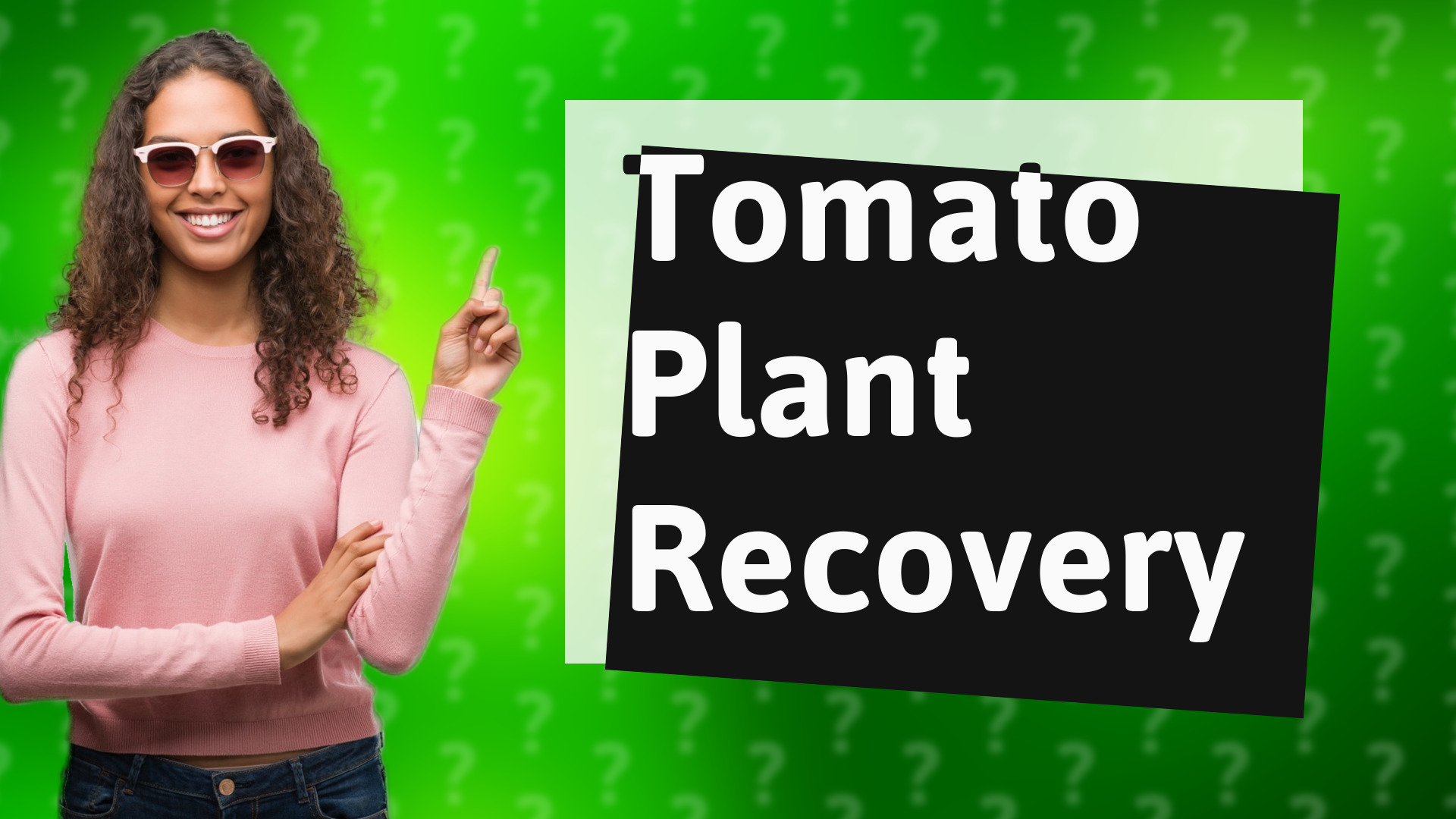 Tomato Plant Recovery