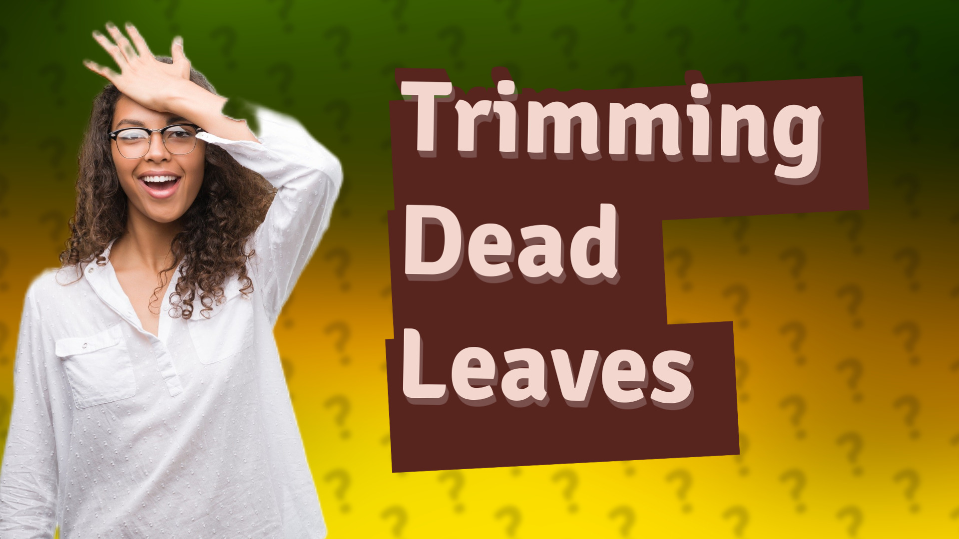 Trimming Dead Leaves