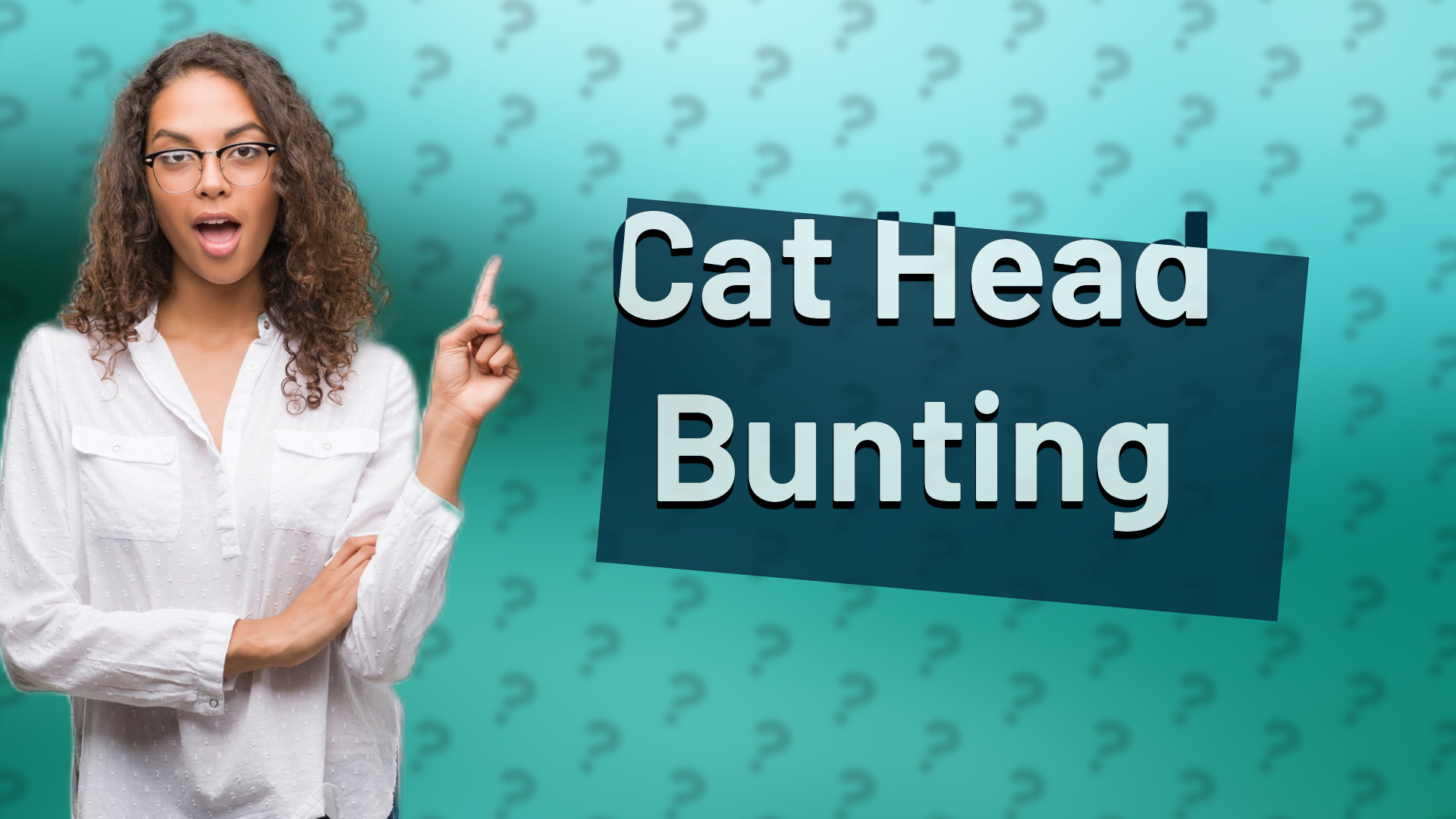 Cat Head Bunting