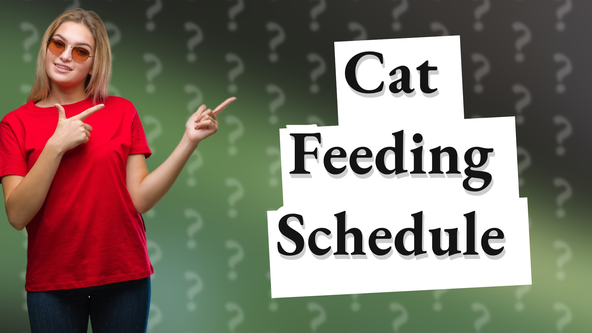 Cat Feeding Schedule