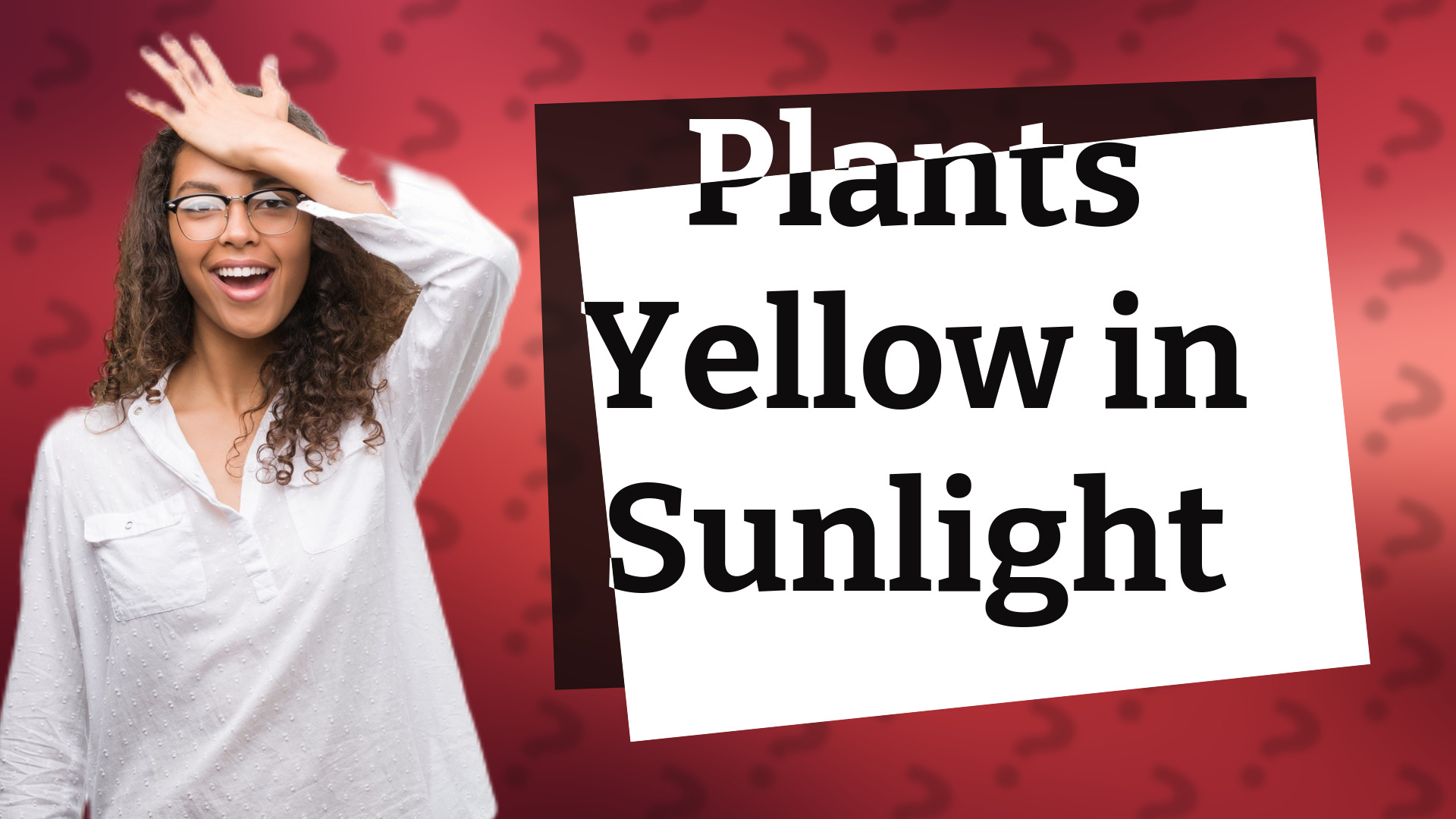 Plants Yellow in Sunlight