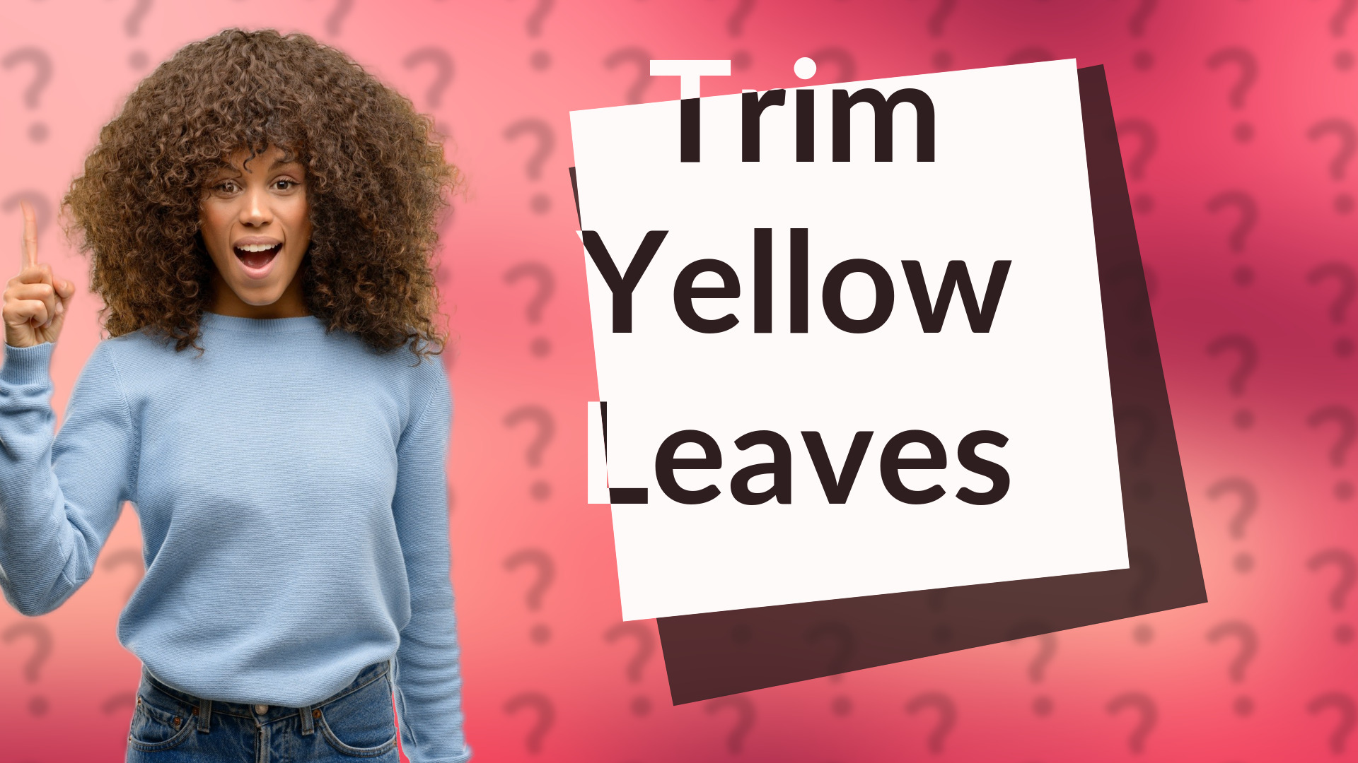 Trim Yellow Leaves